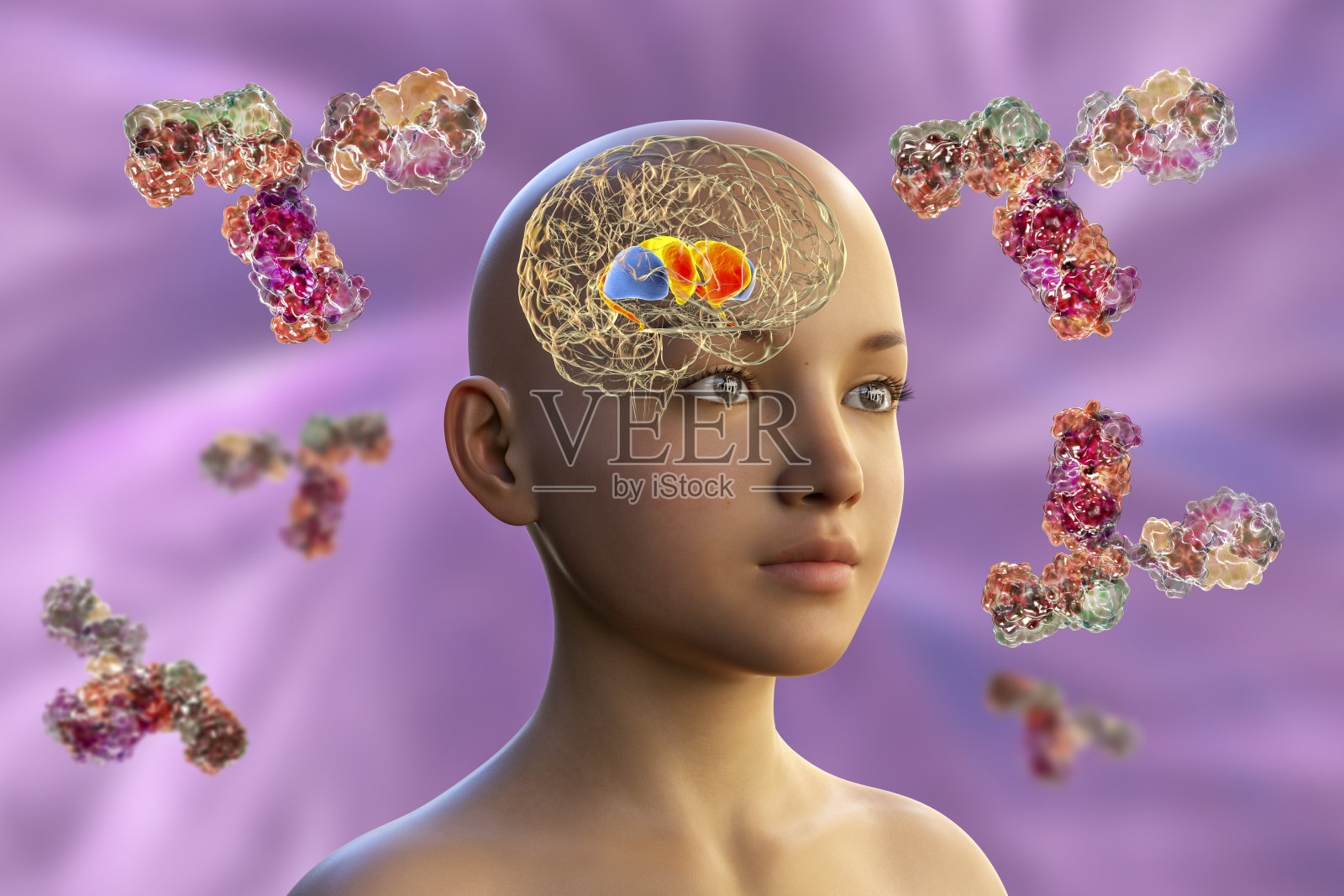 抗基底神经节抗体,艺术作品照片摄影图片