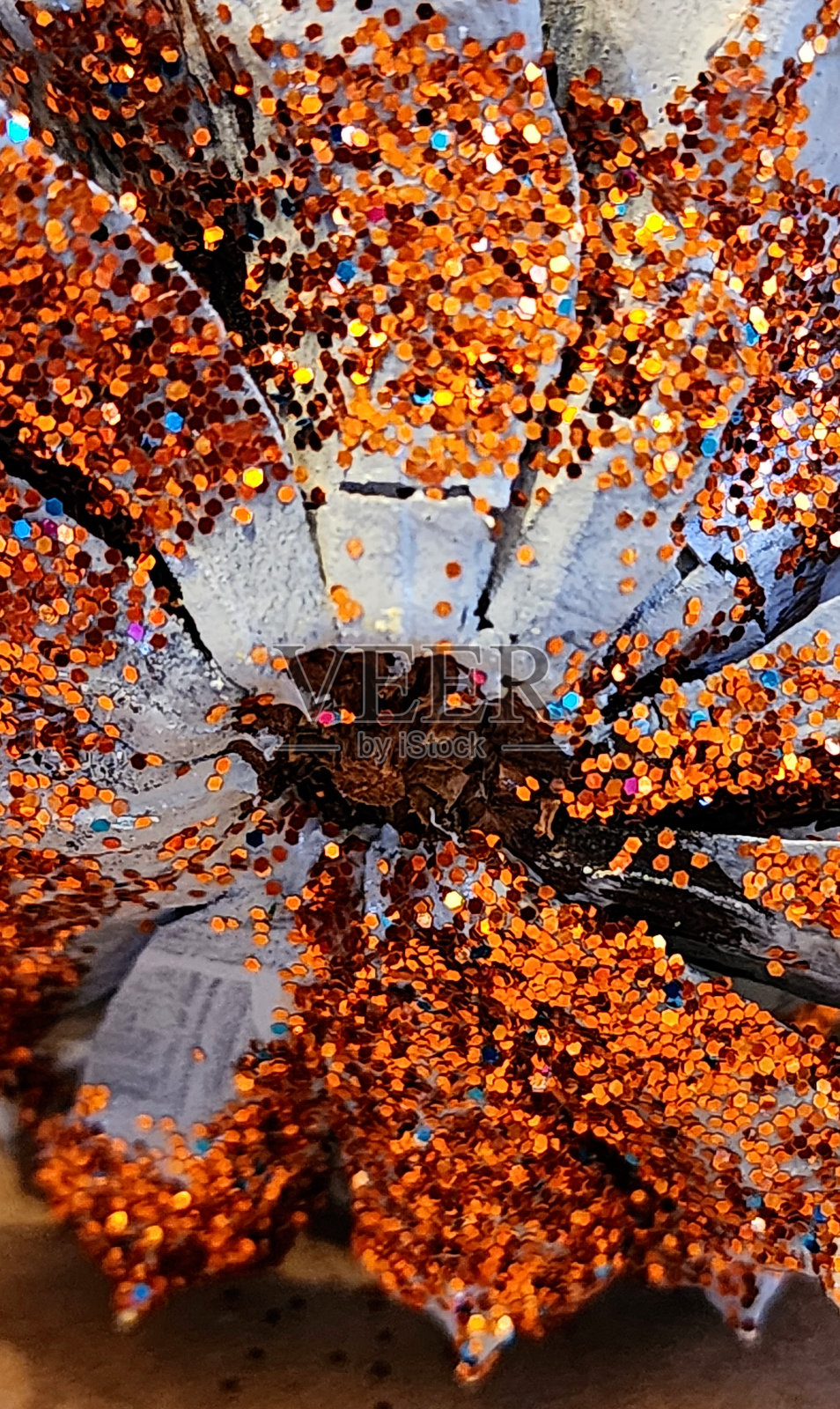 圣诞松果艺术项目照片摄影图片