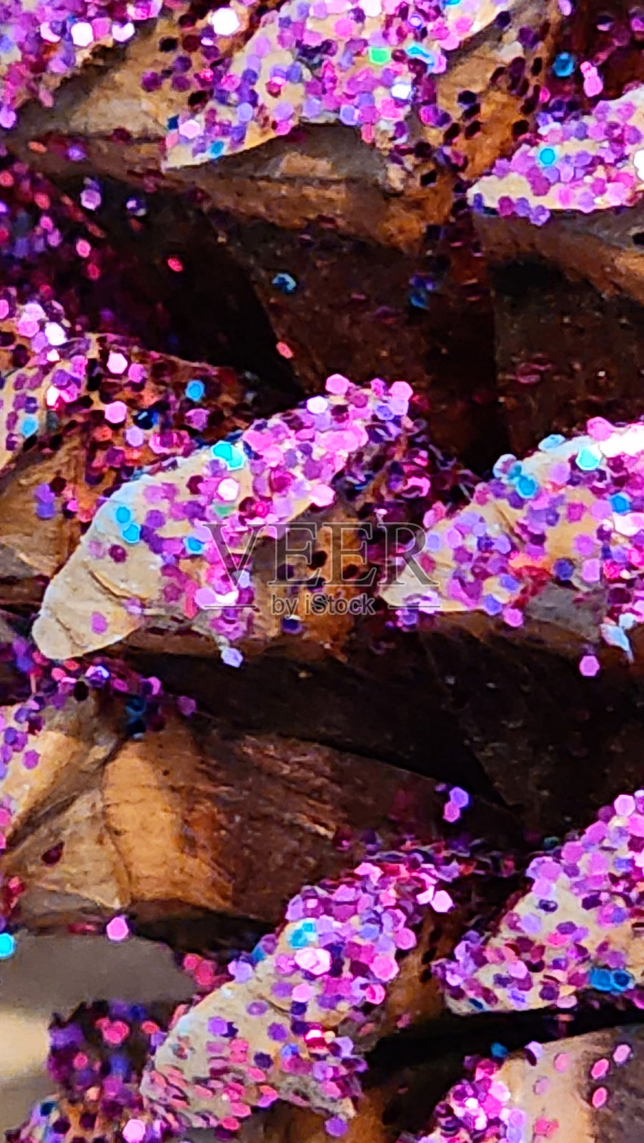 圣诞松果艺术项目照片摄影图片