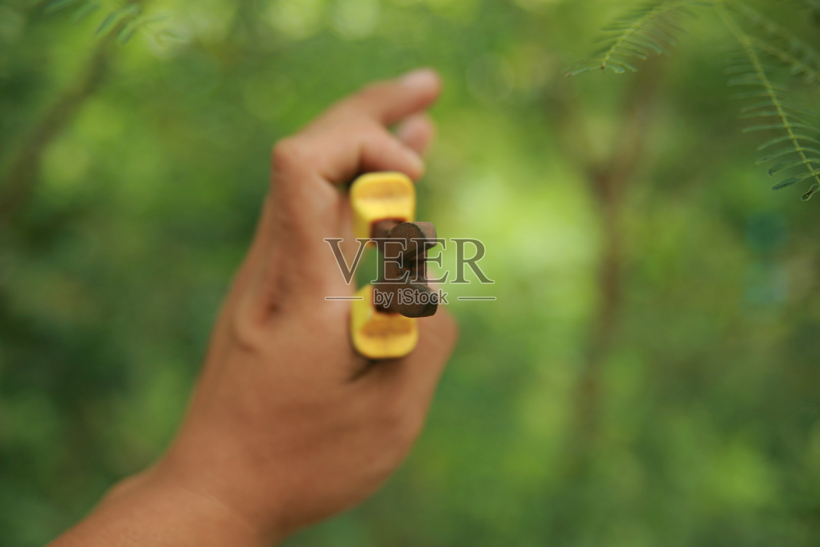 剪切钳照片摄影图片