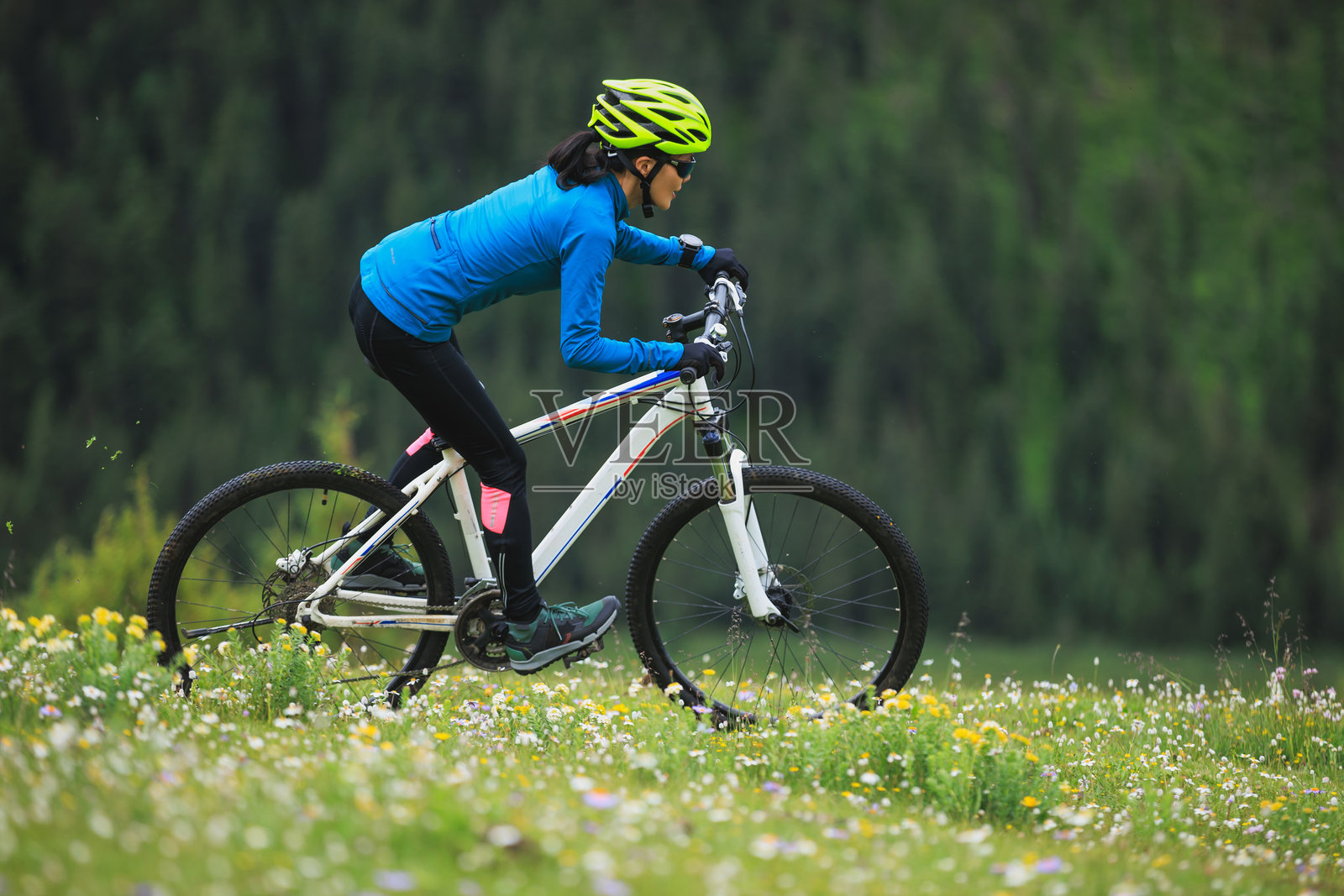 在美丽的森林山顶骑山地自行车照片摄影图片