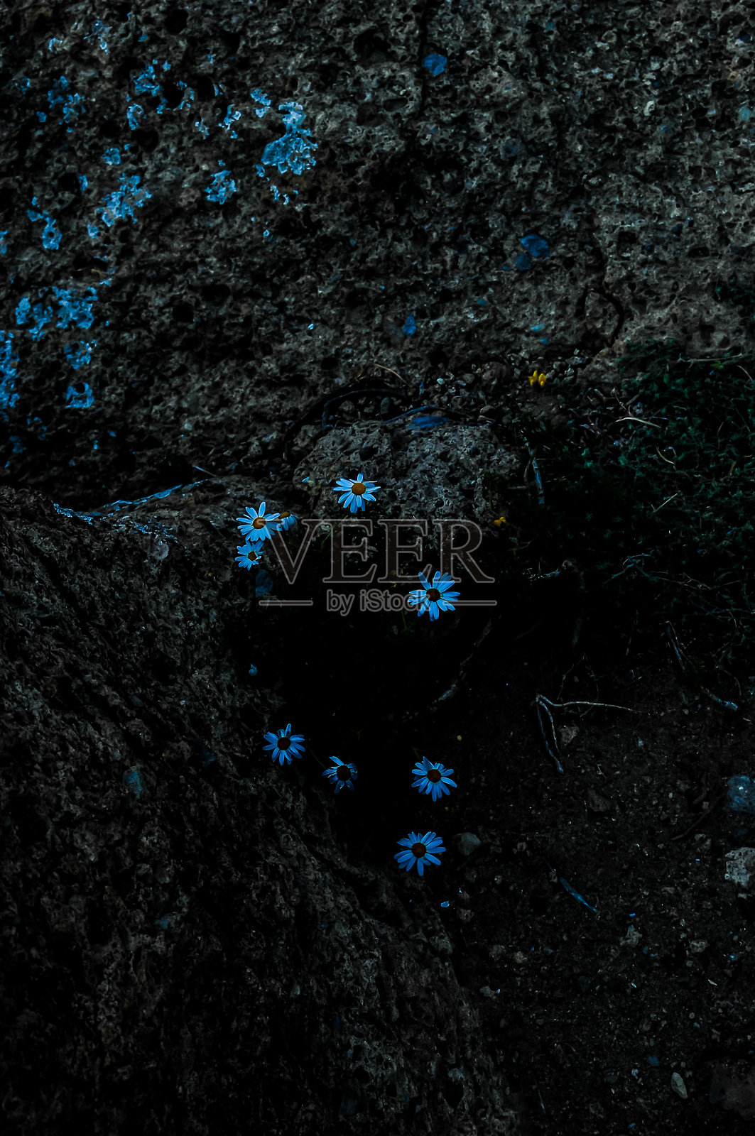 抽象背景,留有文本空间,数字照片图片a照片摄影图片