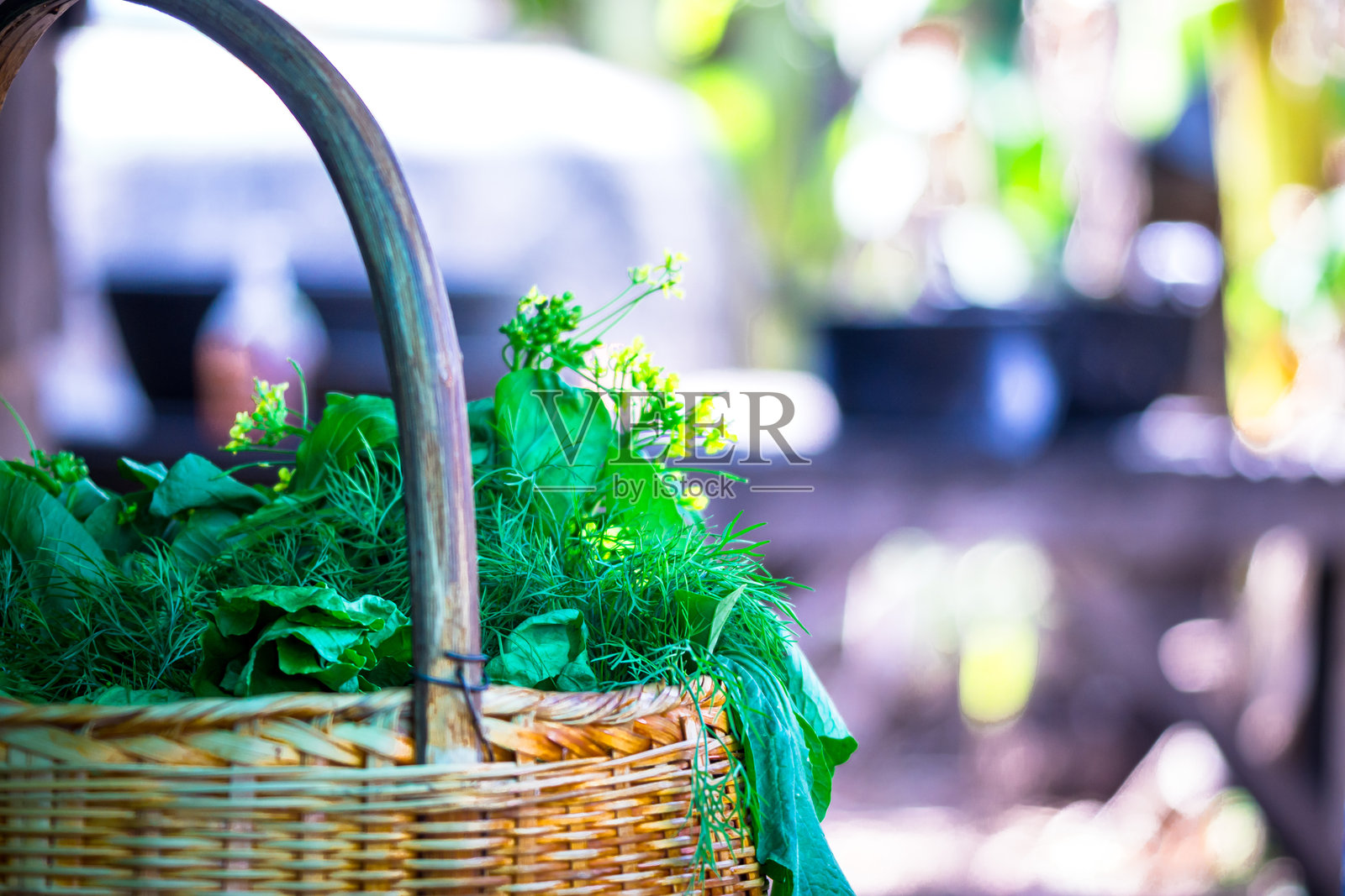 竹篮中的 assorted 绿色蔬菜照片摄影图片