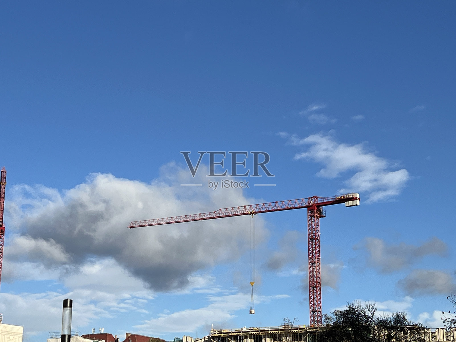 鹤照片摄影图片