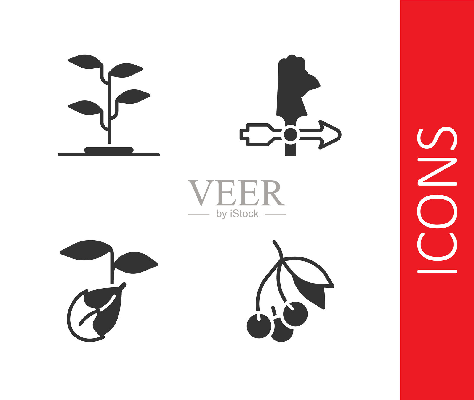 新鲜浆果、芽和公鸡风向标图标。矢量图。插画图片素材