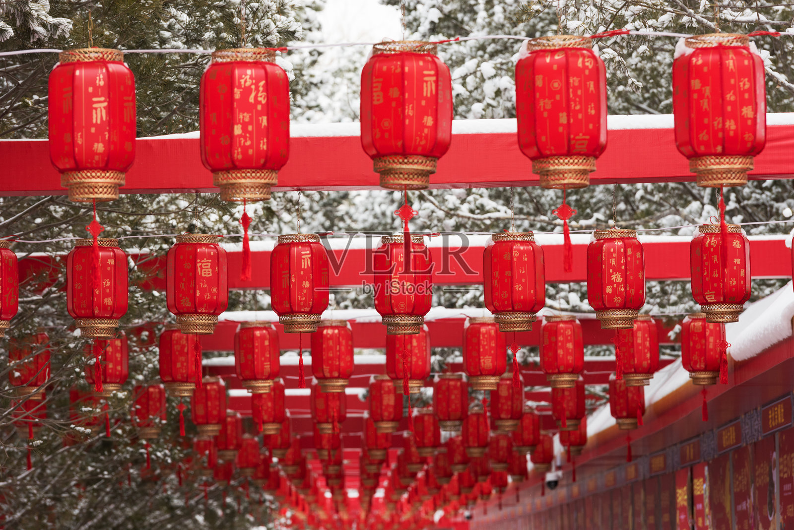 红灯笼悬挂在雪-covered公园中,散发出节日的美丽氛围。照片摄影图片