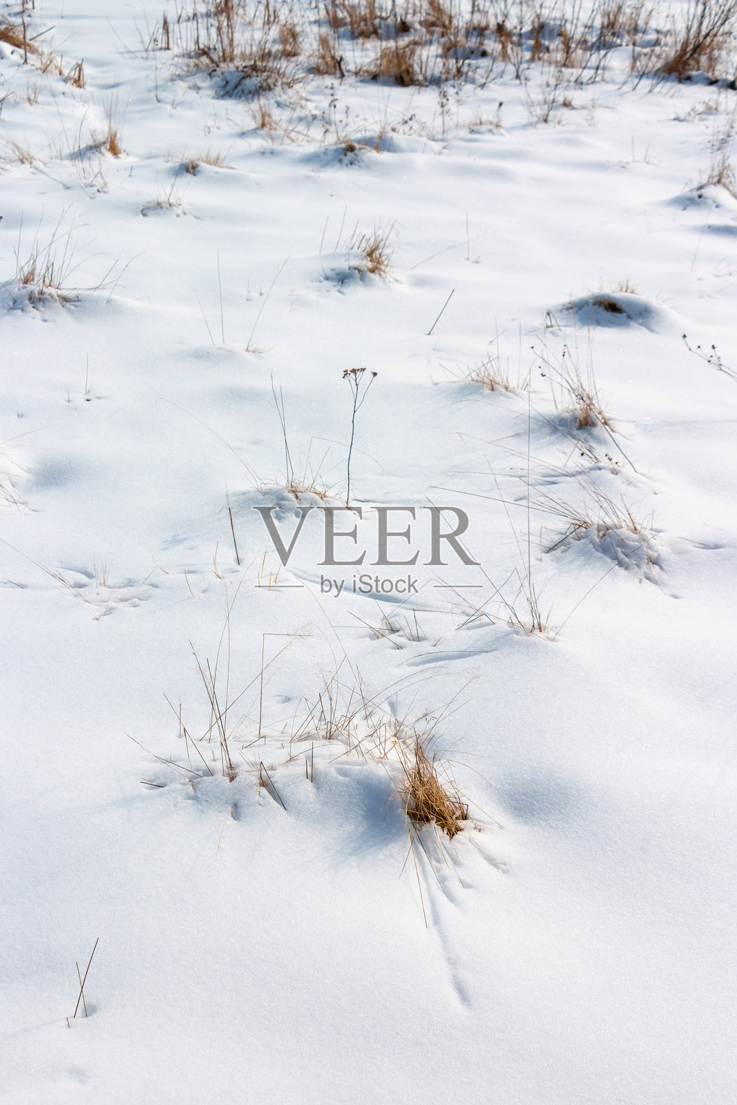 冬季森林小径上的白色雪堆与棕色草丛照片摄影图片