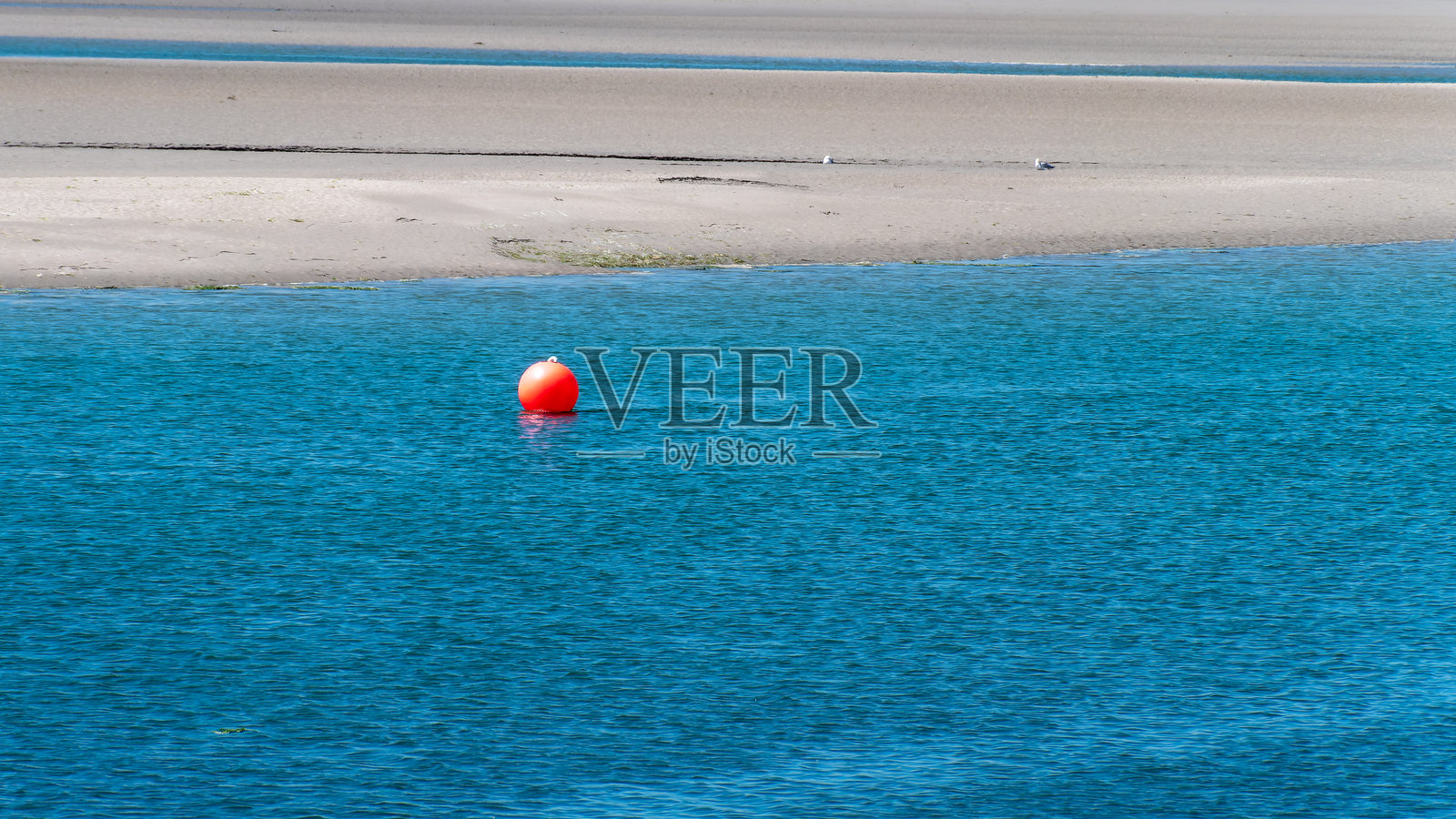 蓝色水面上的橙色浮标。海景,留白空间。蓝色海水中的红色球。照片摄影图片
