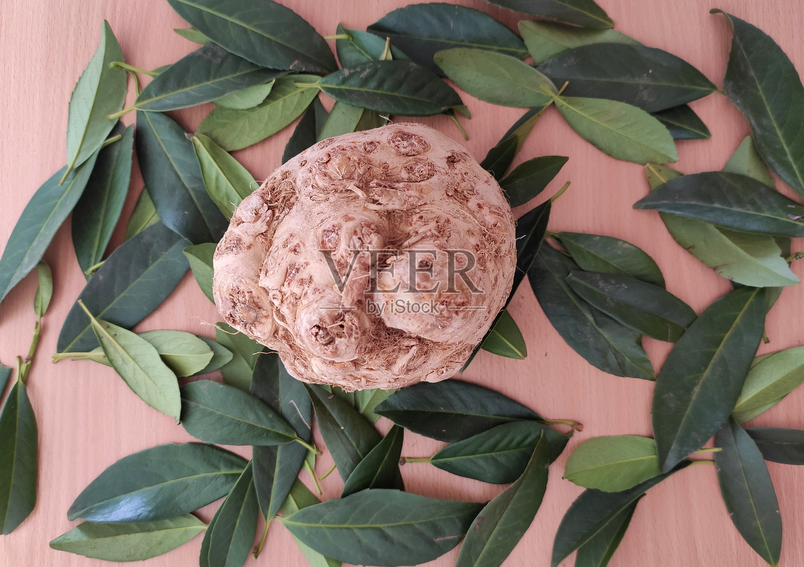 新鲜蔬菜摆在桌子上照片摄影图片