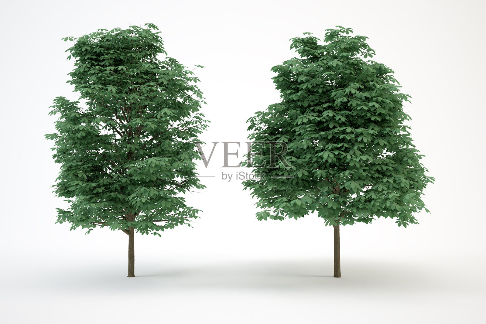 鲜艳的绿色树木与白色背景形成对比。非常适合自然主题的设计、海报或设计项目中的环保概念。照片摄影图片