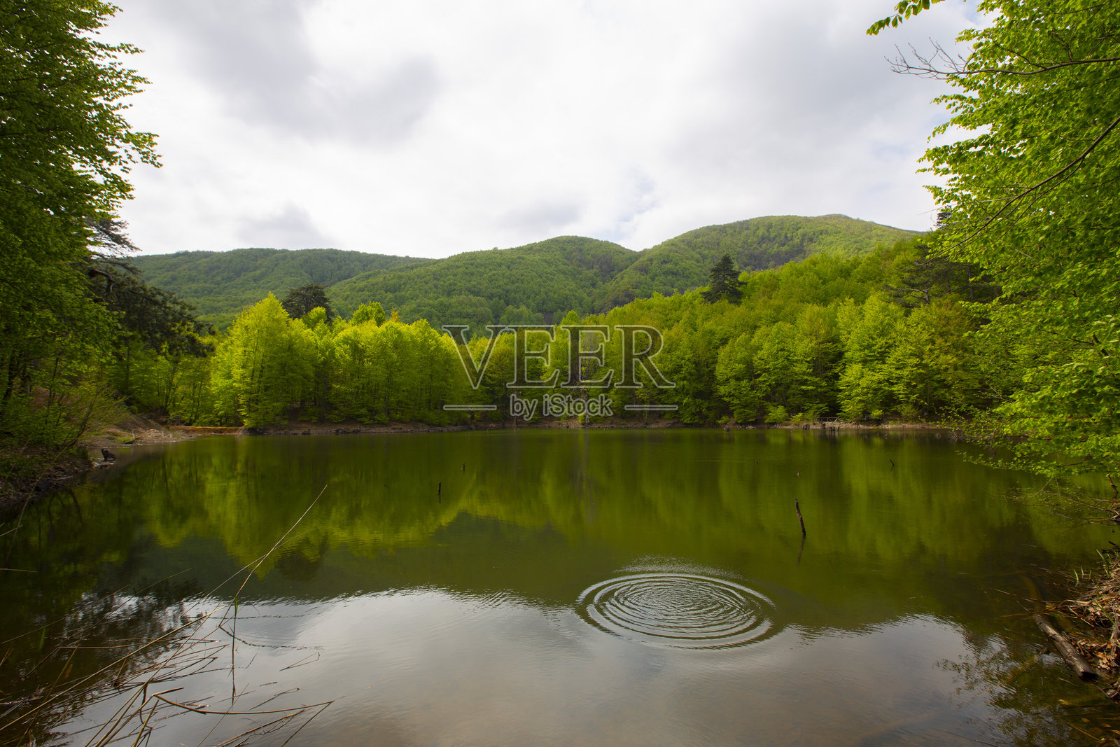 亚洛瓦森林与无底湖照片摄影图片