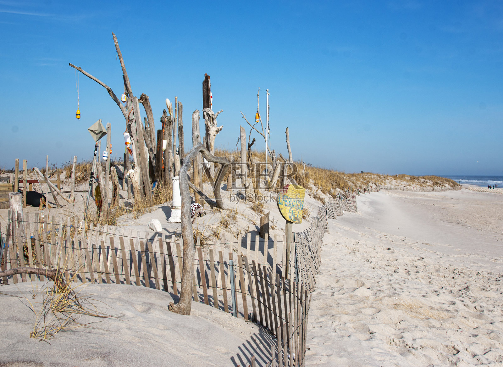 清晨阳光下,沙滩上的漂流木艺术装置与湛蓝的天空照片摄影图片