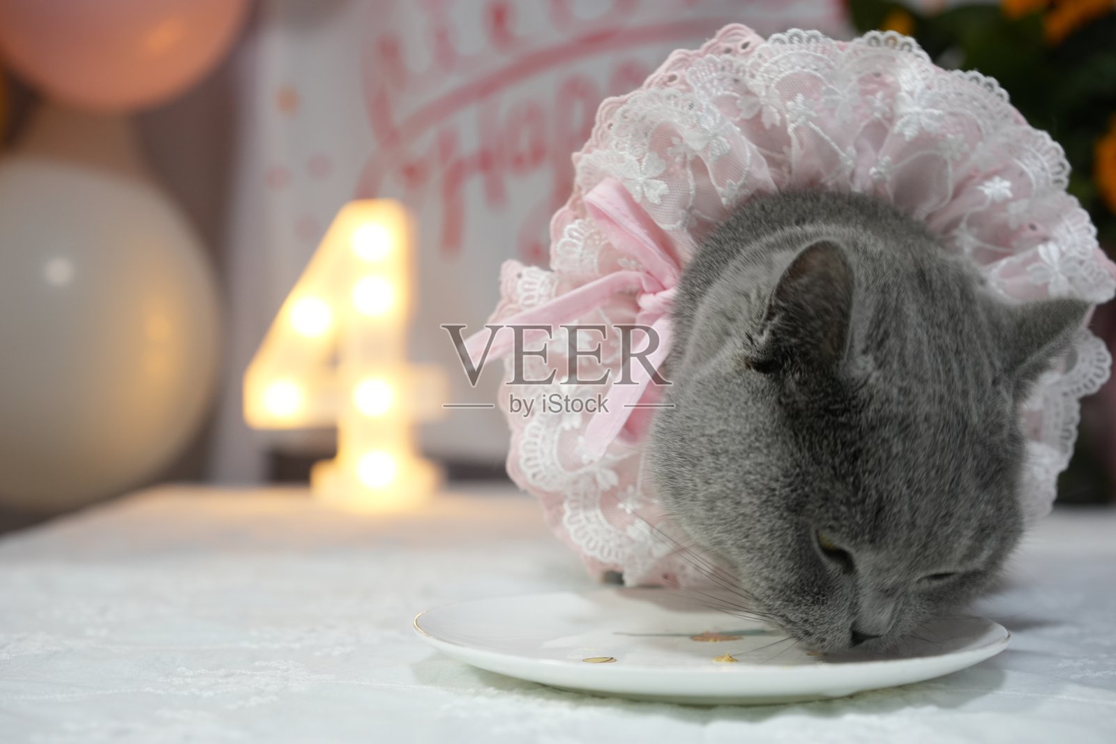 对食物的狂热照片摄影图片