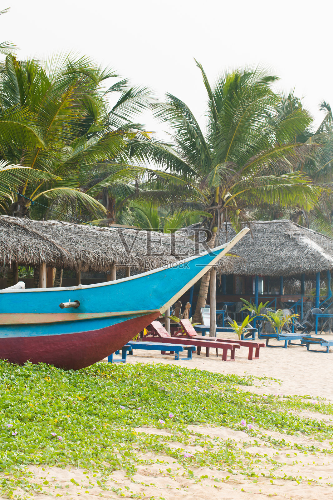 色彩斑斓的美丽船只停靠在海滩附近,背景是棕榈树,特写镜头。照片摄影图片