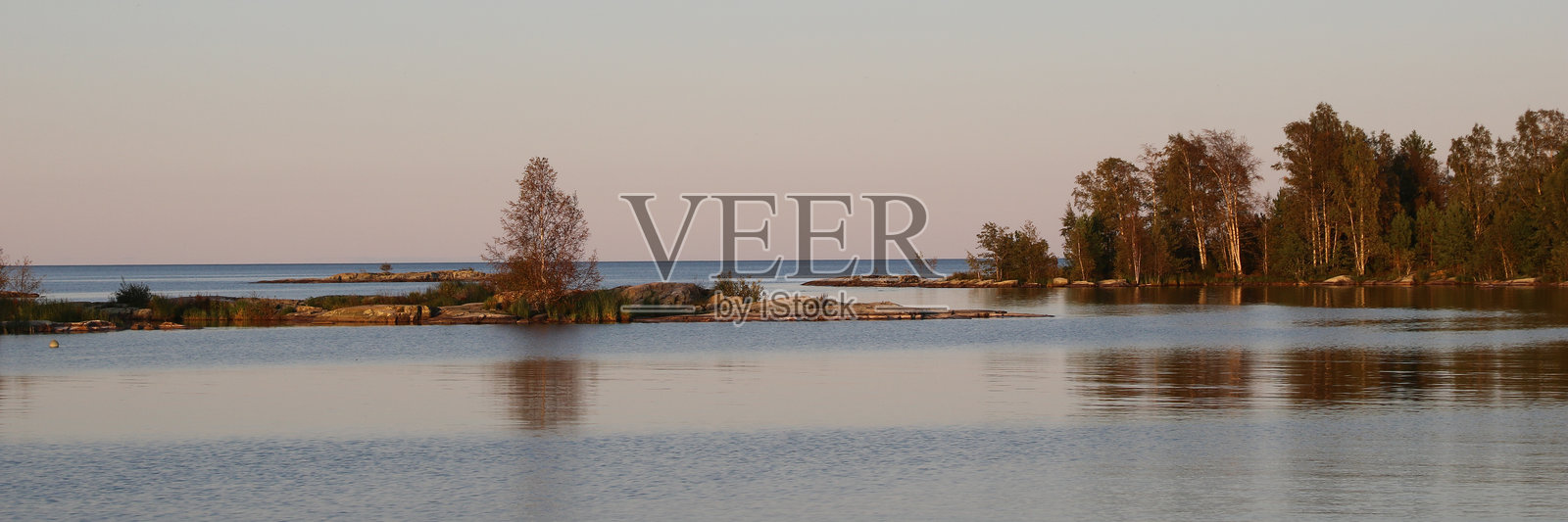 瑞典范恩湖畔的秋天傍晚树木照片摄影图片