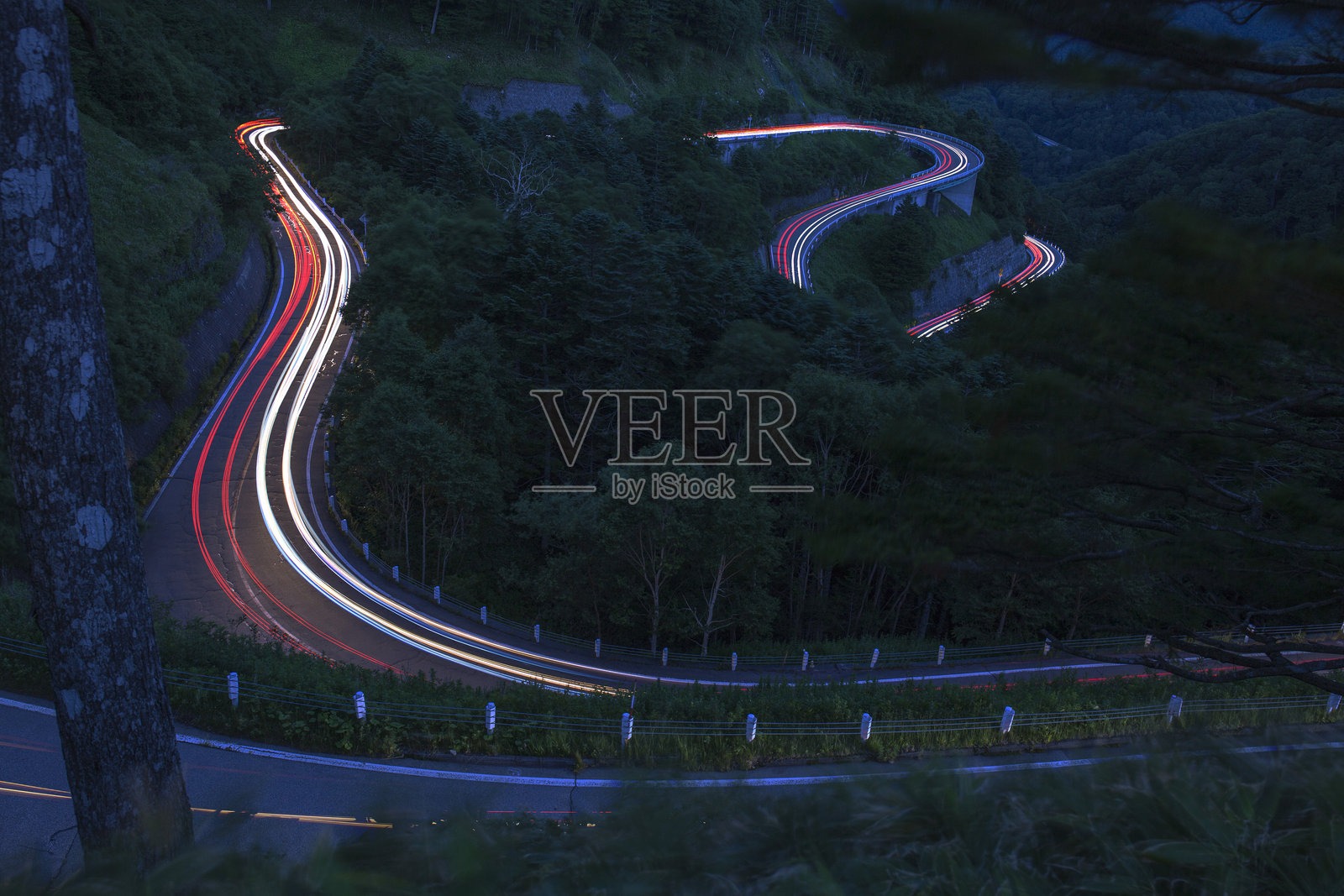 树旁道路上的光轨高角度视图照片摄影图片