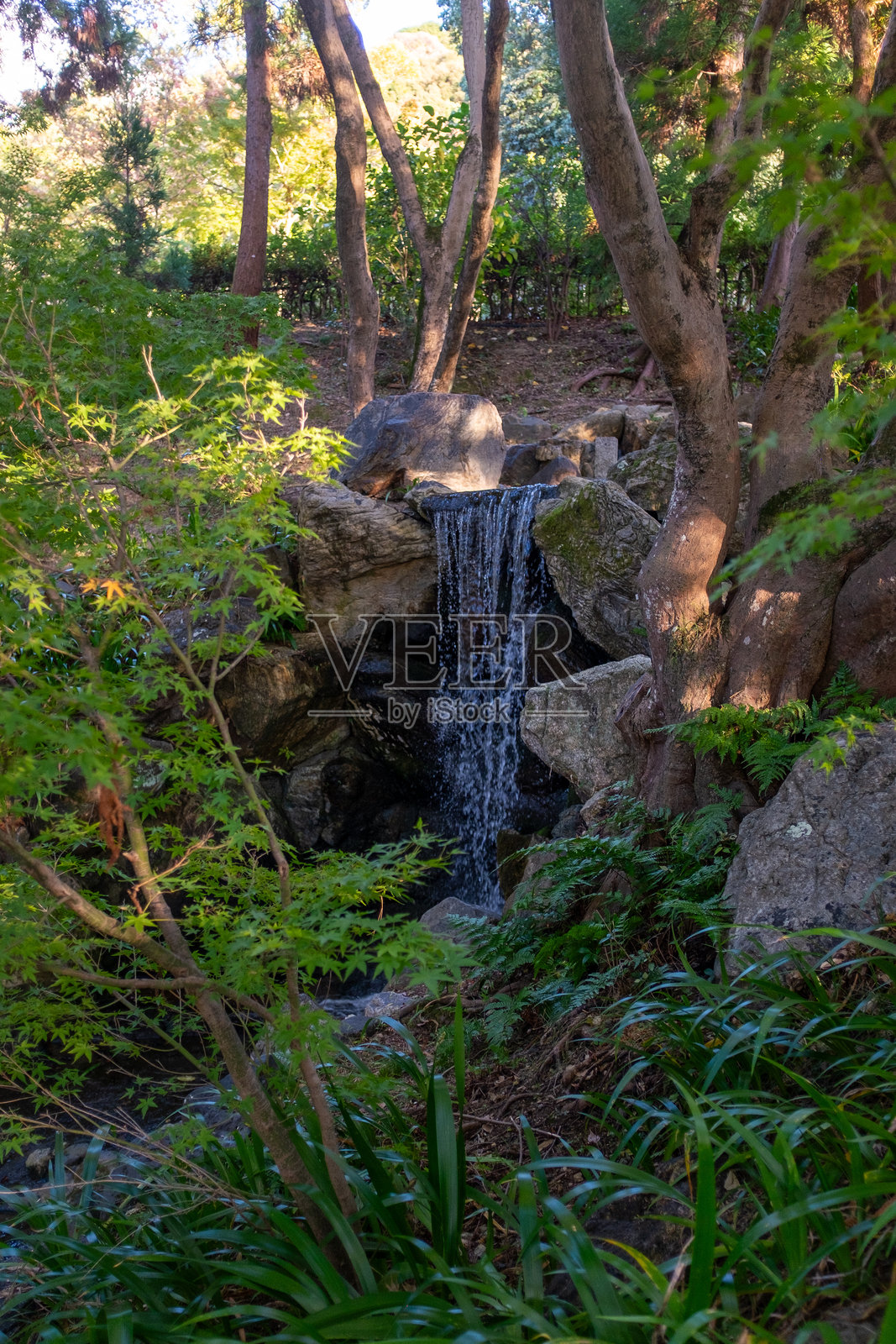 日本京都圆山公园的瀑布照片摄影图片