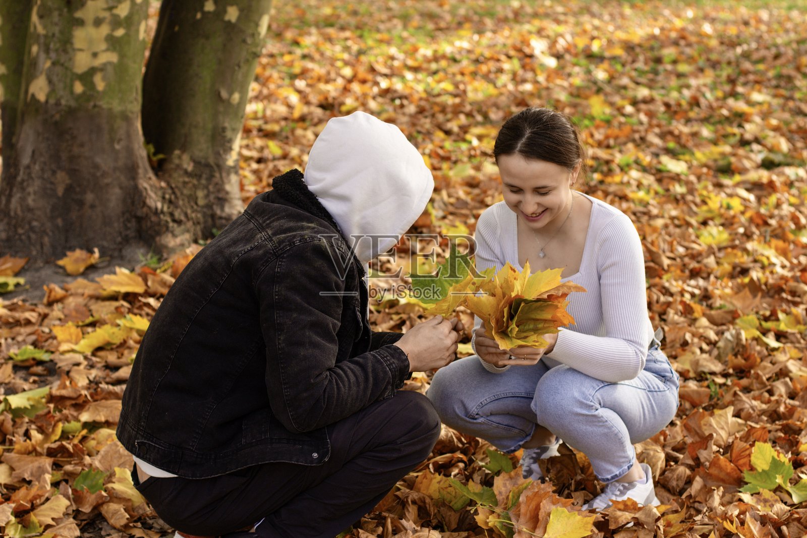 一对年轻情侣在秋天的公园里交谈。一对年轻人在黄色的秋叶上。照片摄影图片