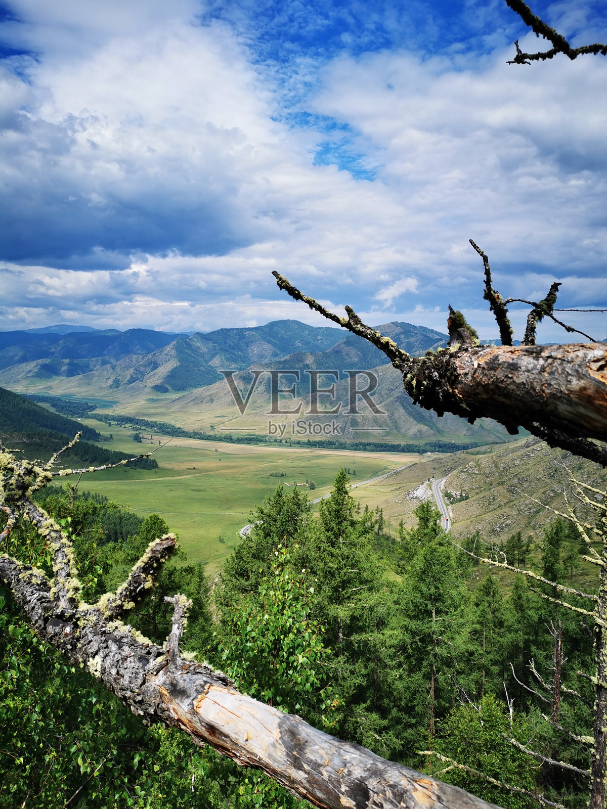 阿尔泰奇克塔曼口岸照片摄影图片