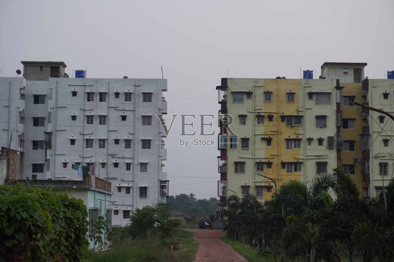 两座高科技建筑之间的绿色草坪照片摄影图片