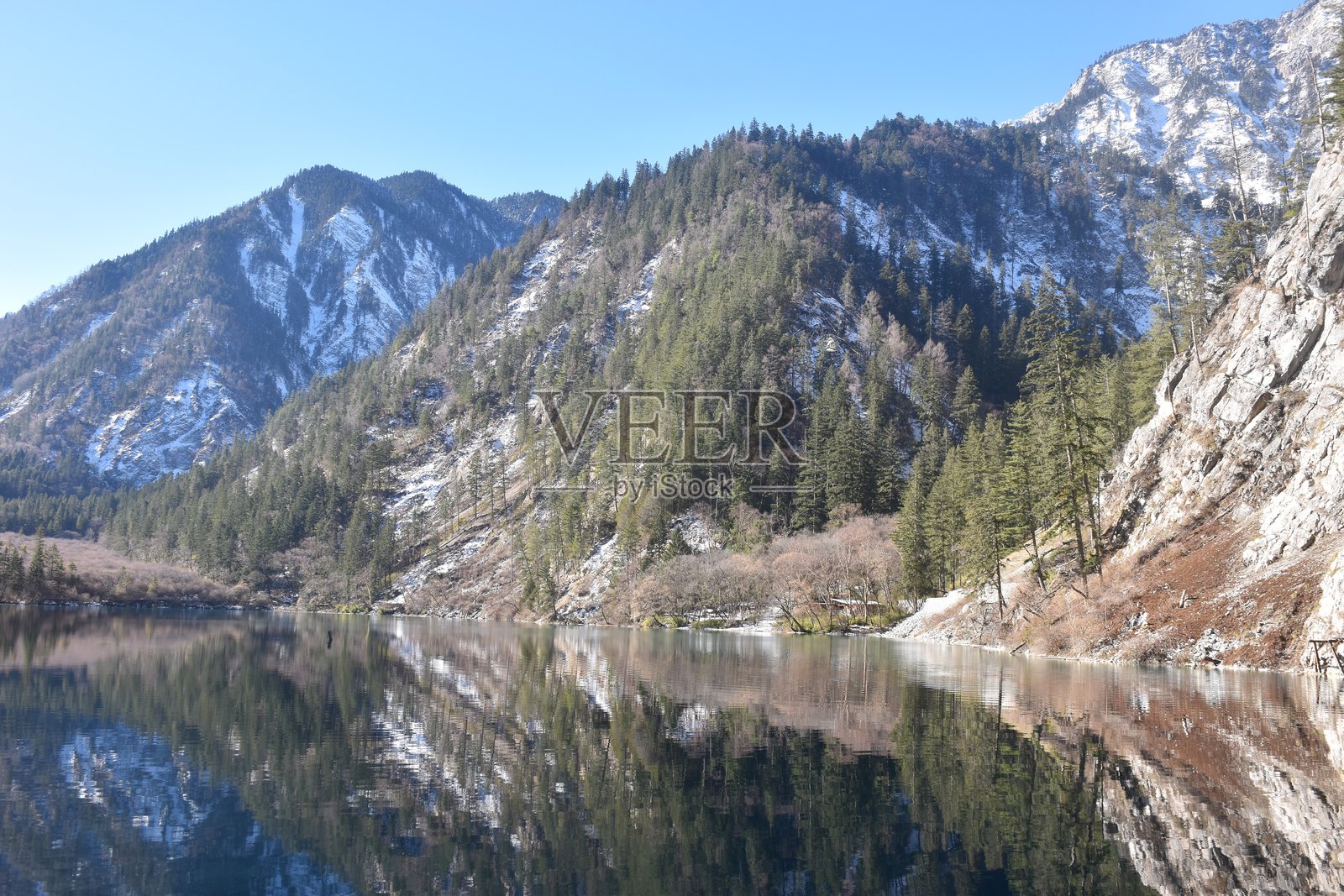 九寨沟国家自然公园的熊猫湖旅游景点照片摄影图片