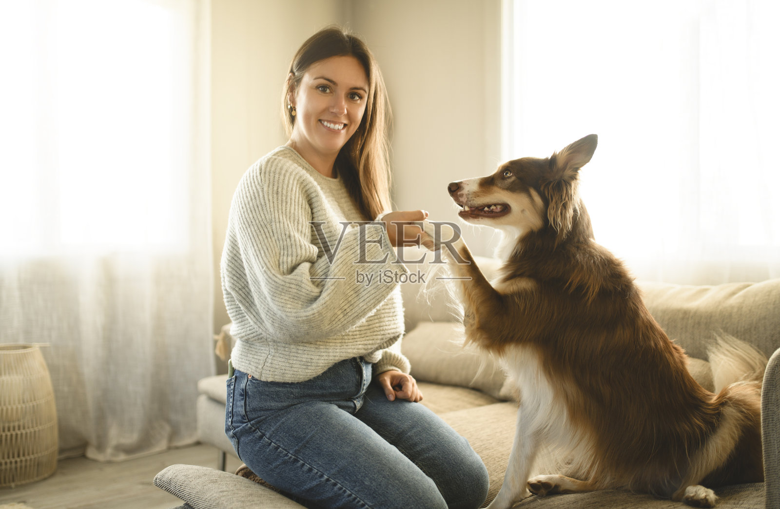 在客厅里,女人和可爱的毛茸茸的澳大利亚牧羊犬在一起。照片摄影图片