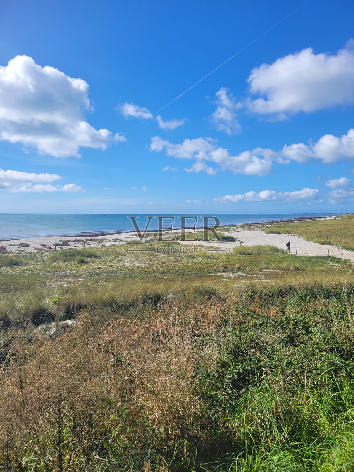 海滩照片摄影图片