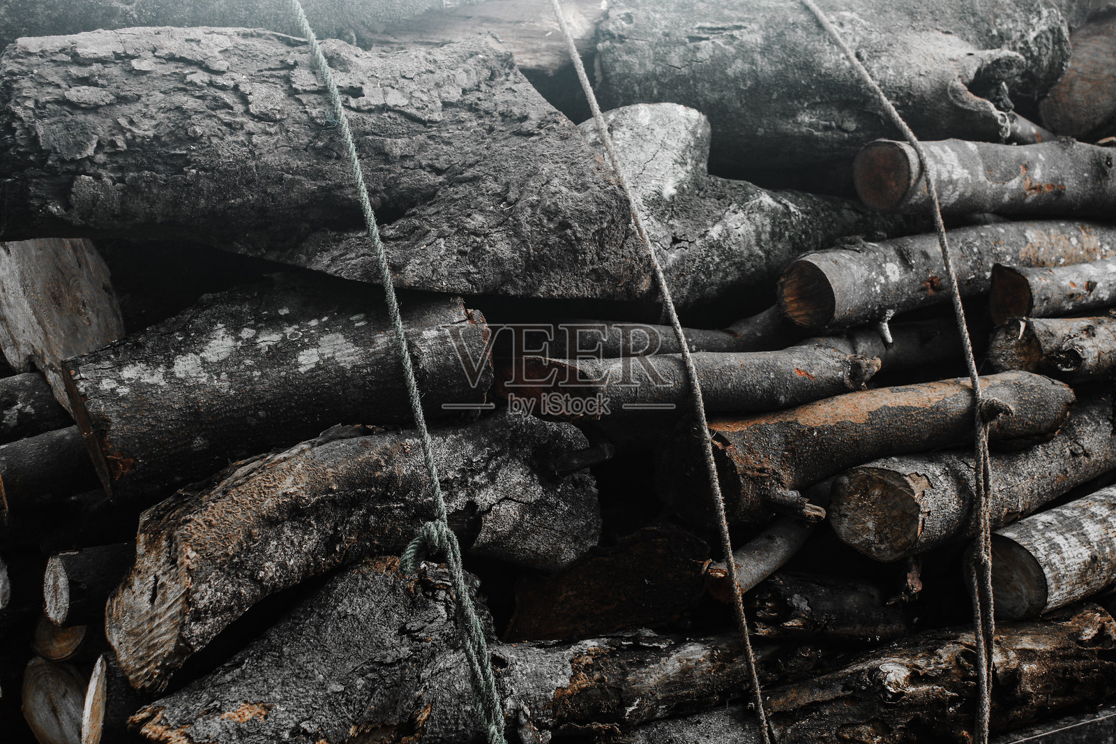 树干堆积的特写纹理。照片摄影图片