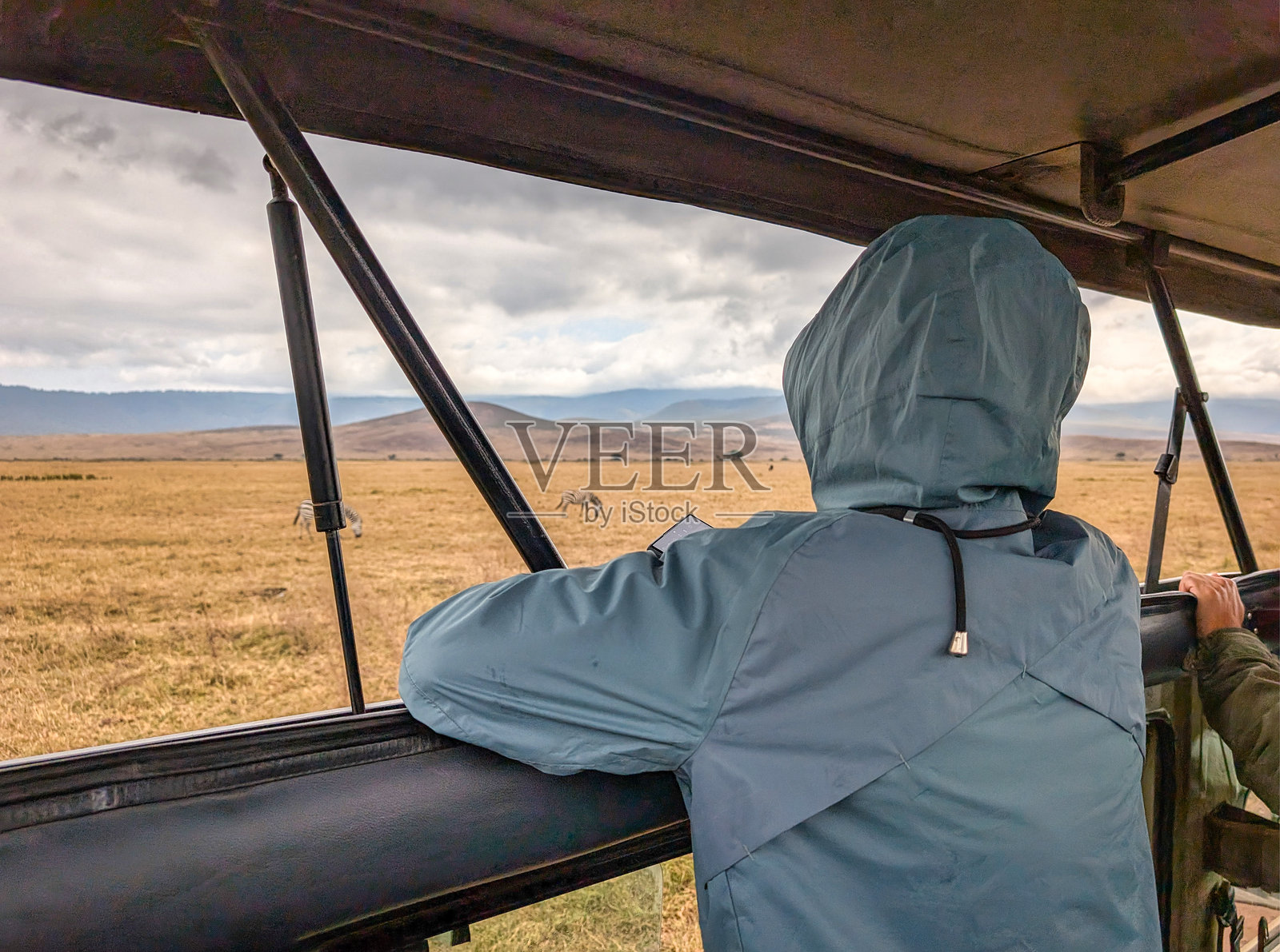 游客穿着带帽夹克,从野生动物园车上观察在坦桑尼亚恩戈罗恩戈罗保护区广阔景观中吃草的斑马。照片摄影图片