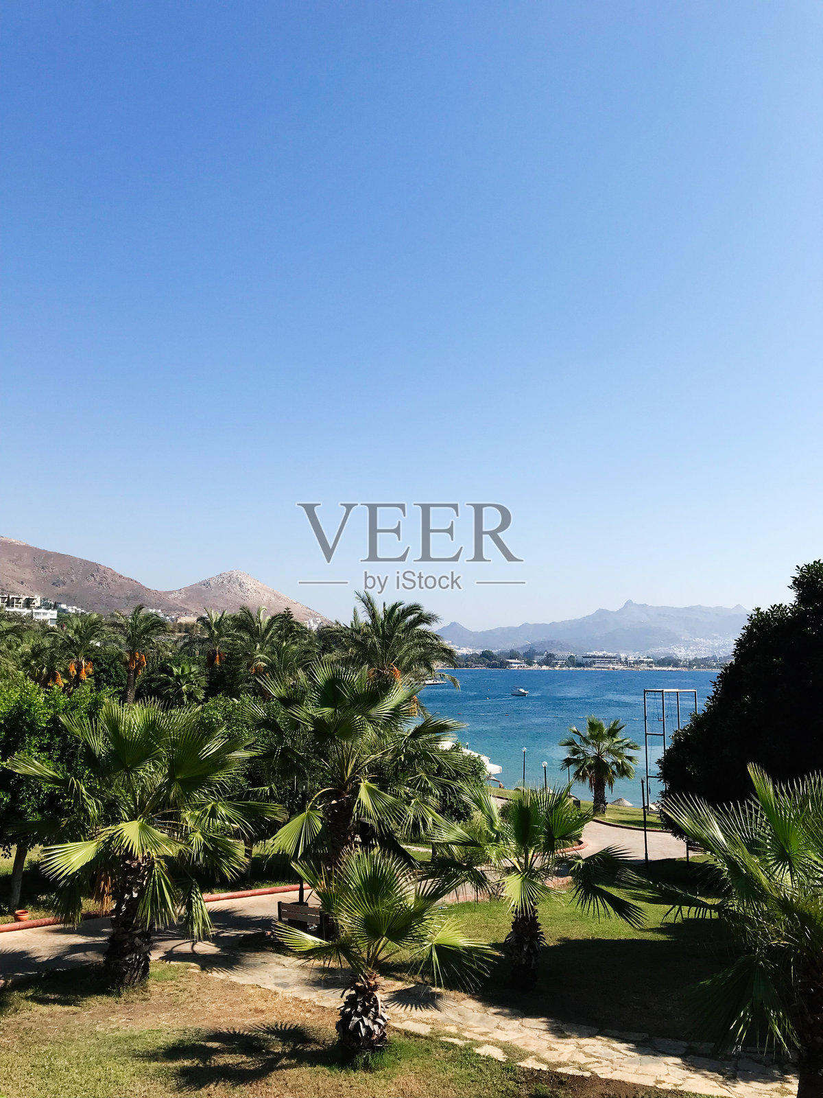 热带海滩风景,棕榈树与蓝天。土耳其,博德鲁姆。照片摄影图片