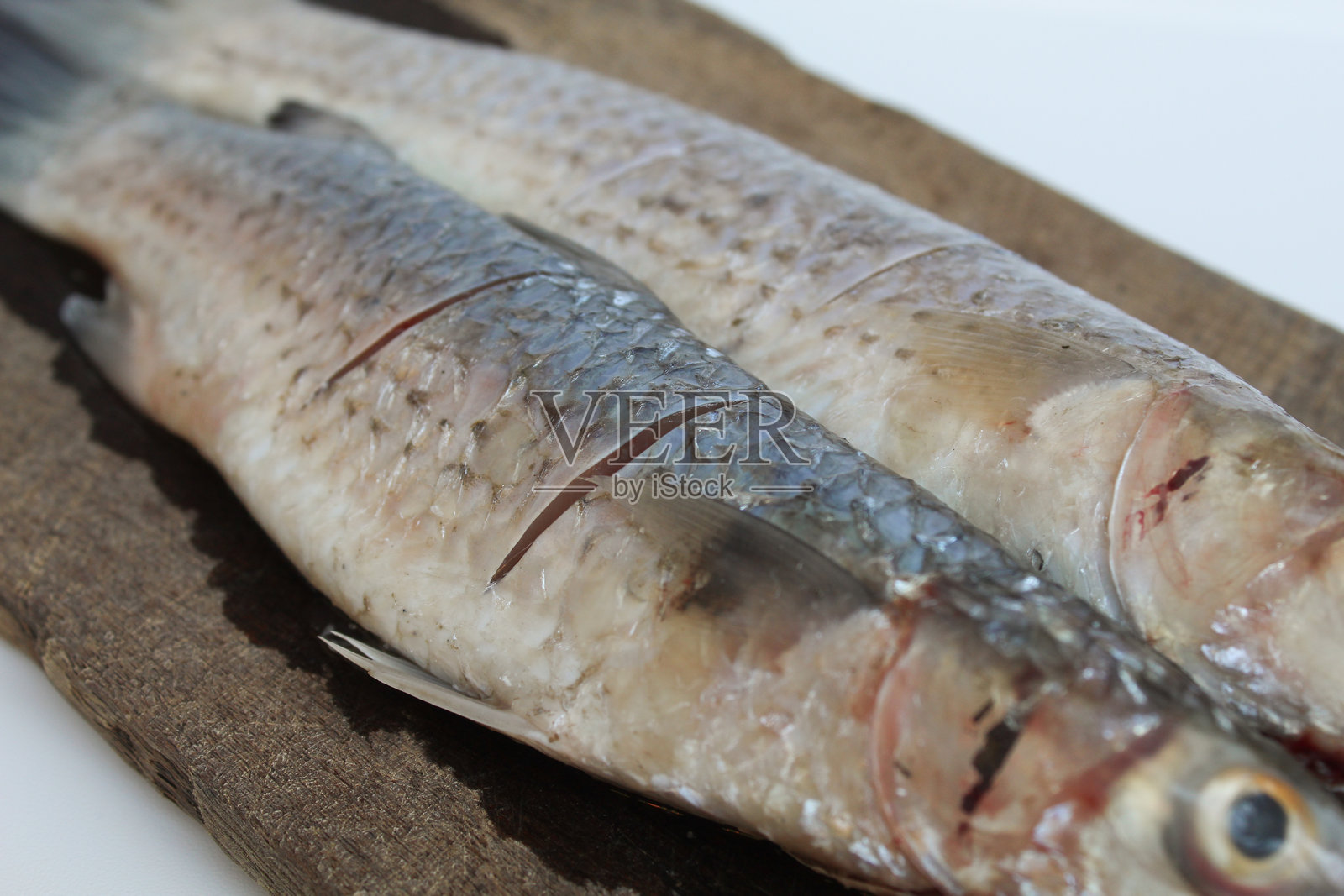 生的蓝点鲻鱼,或蓝尾鲻鱼,或海鲻,或伊干贝拉纳克,放在木盘上。背景为白色。照片摄影图片