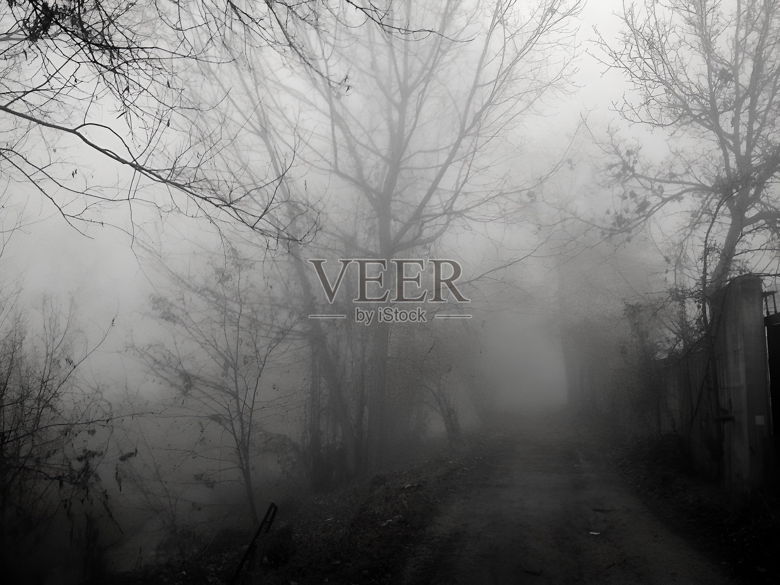 雾蒙蒙的田野照片摄影图片