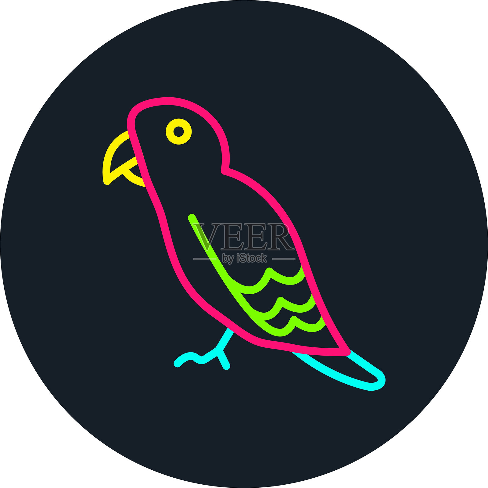 鸟类线条多色图标插画图片素材