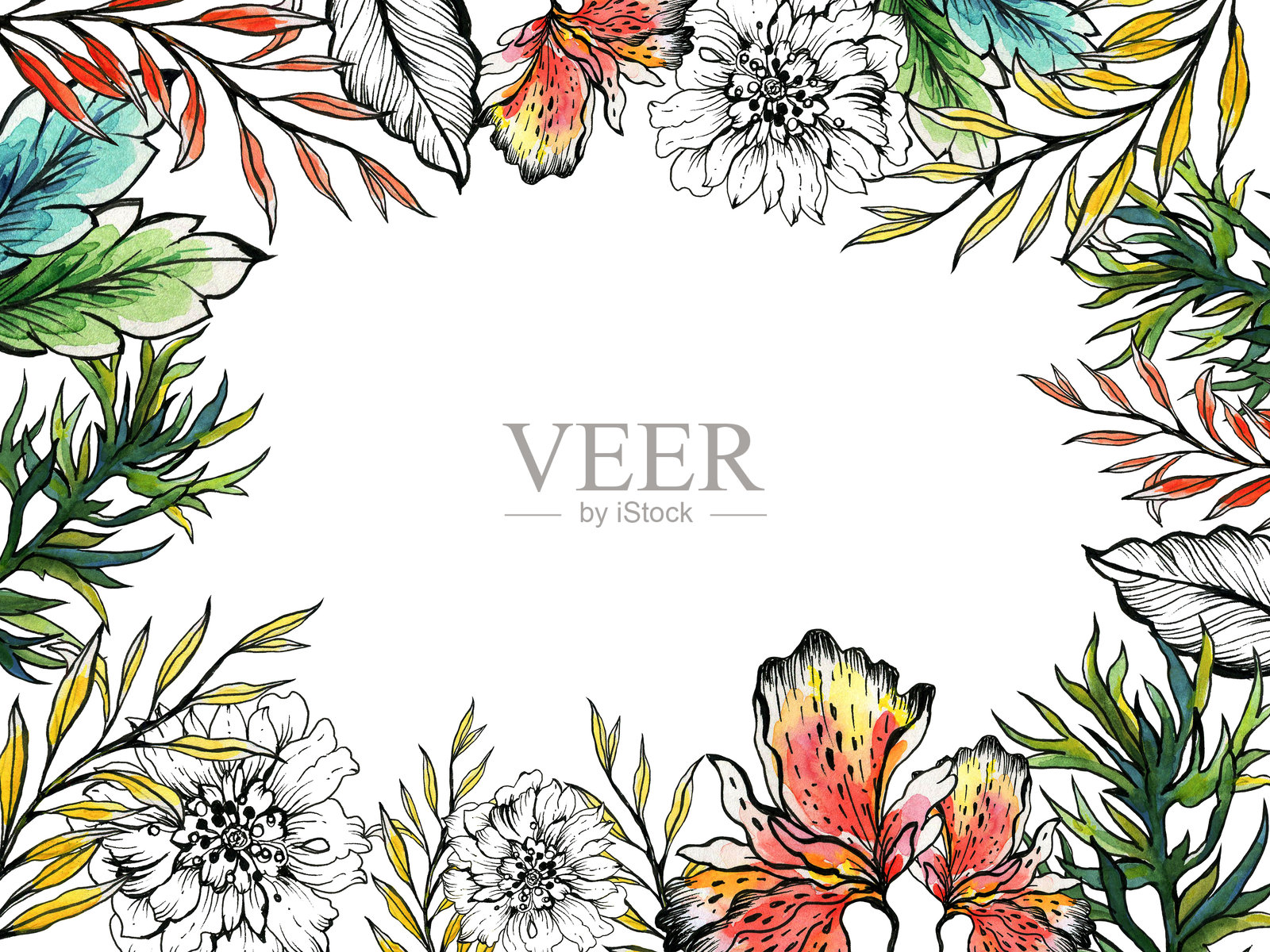 春夏植物花卉叶子水彩色彩模板,适用于派对邀请卡的花卉和植物插画图片素材