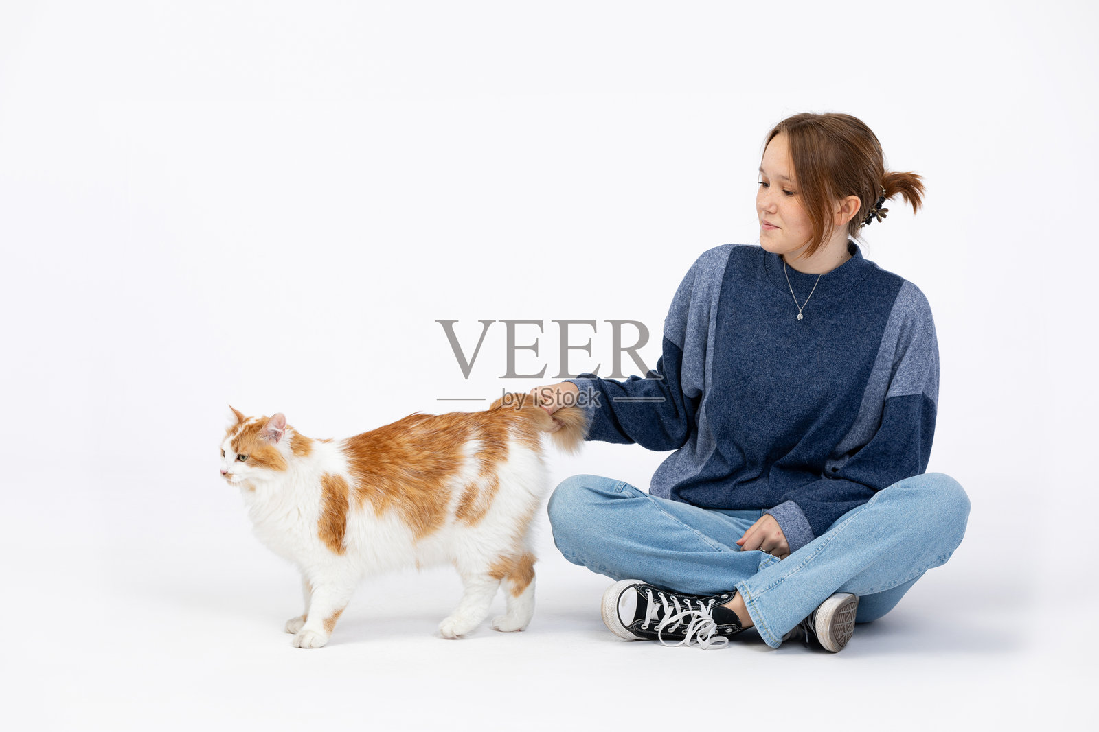 一个放松的女孩在舒适的工作室环境中愉快地和一只可爱的猫玩耍,享受生活。照片摄影图片