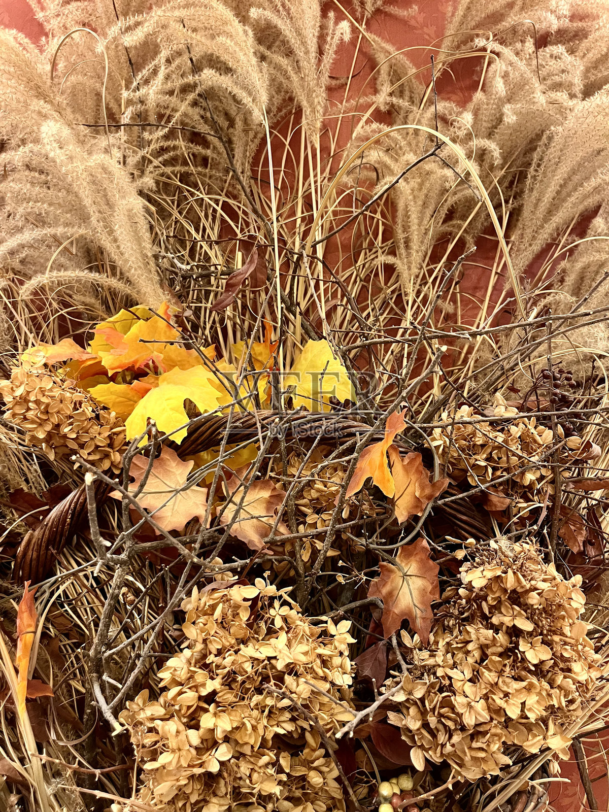 干枯的叶子照片摄影图片