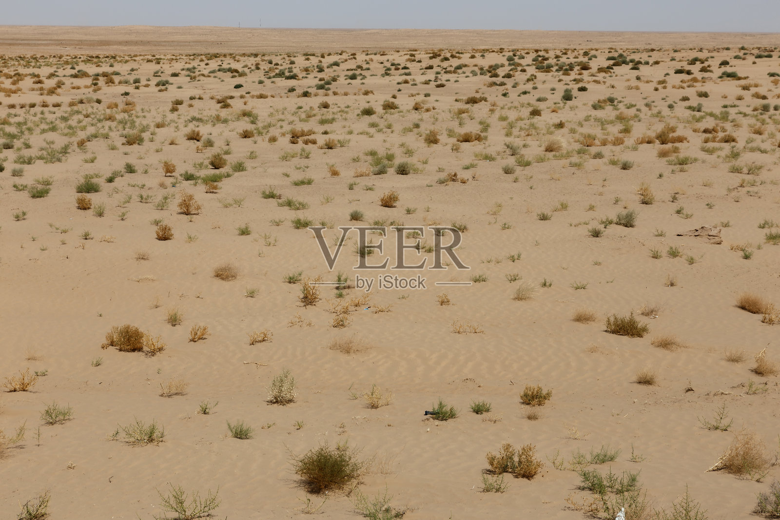 阿富汗乔兹贾省广袤的沙漠景观,稀疏的植被照片摄影图片