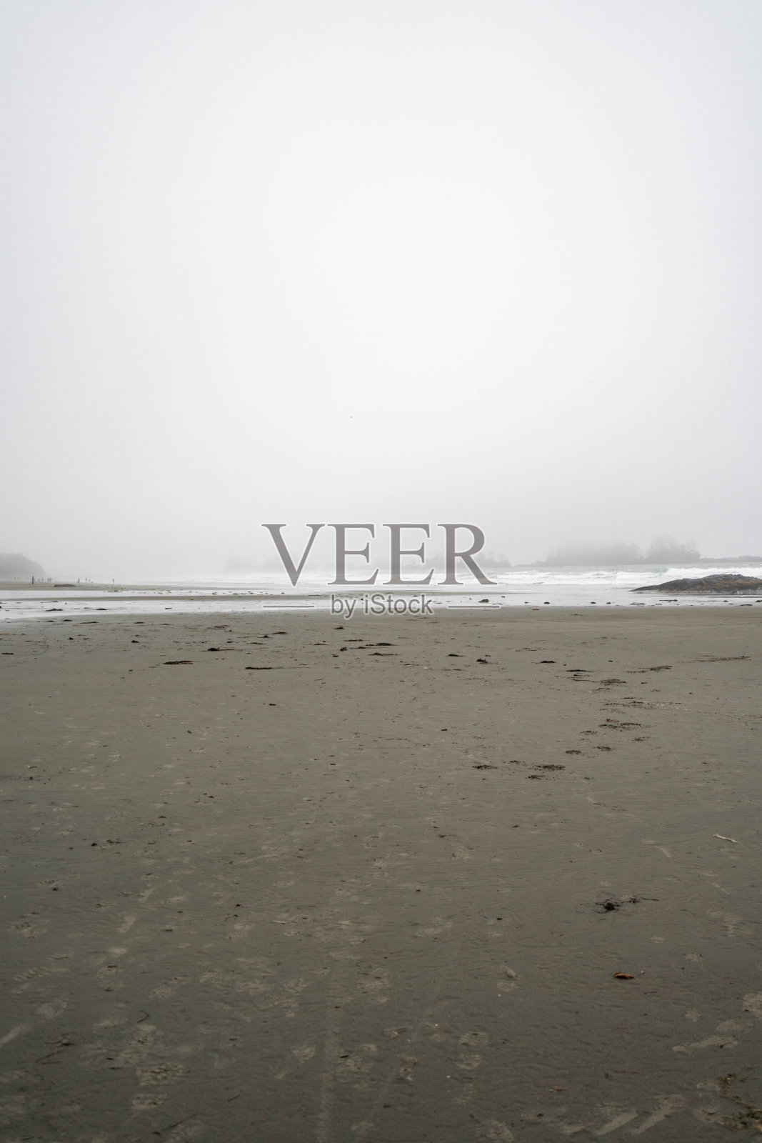 在加拿大不列颠哥伦比亚省温哥华岛托菲诺附近,切斯特曼海滩在阴郁多云的日子里笼罩在雾气中。照片摄影图片