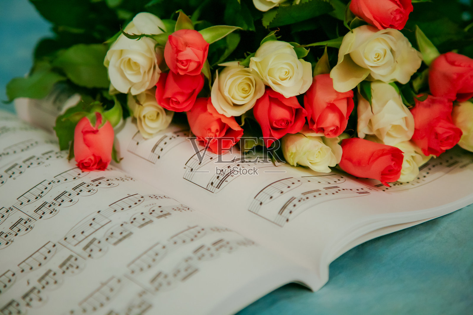 一本上面放着一束玫瑰的书照片摄影图片