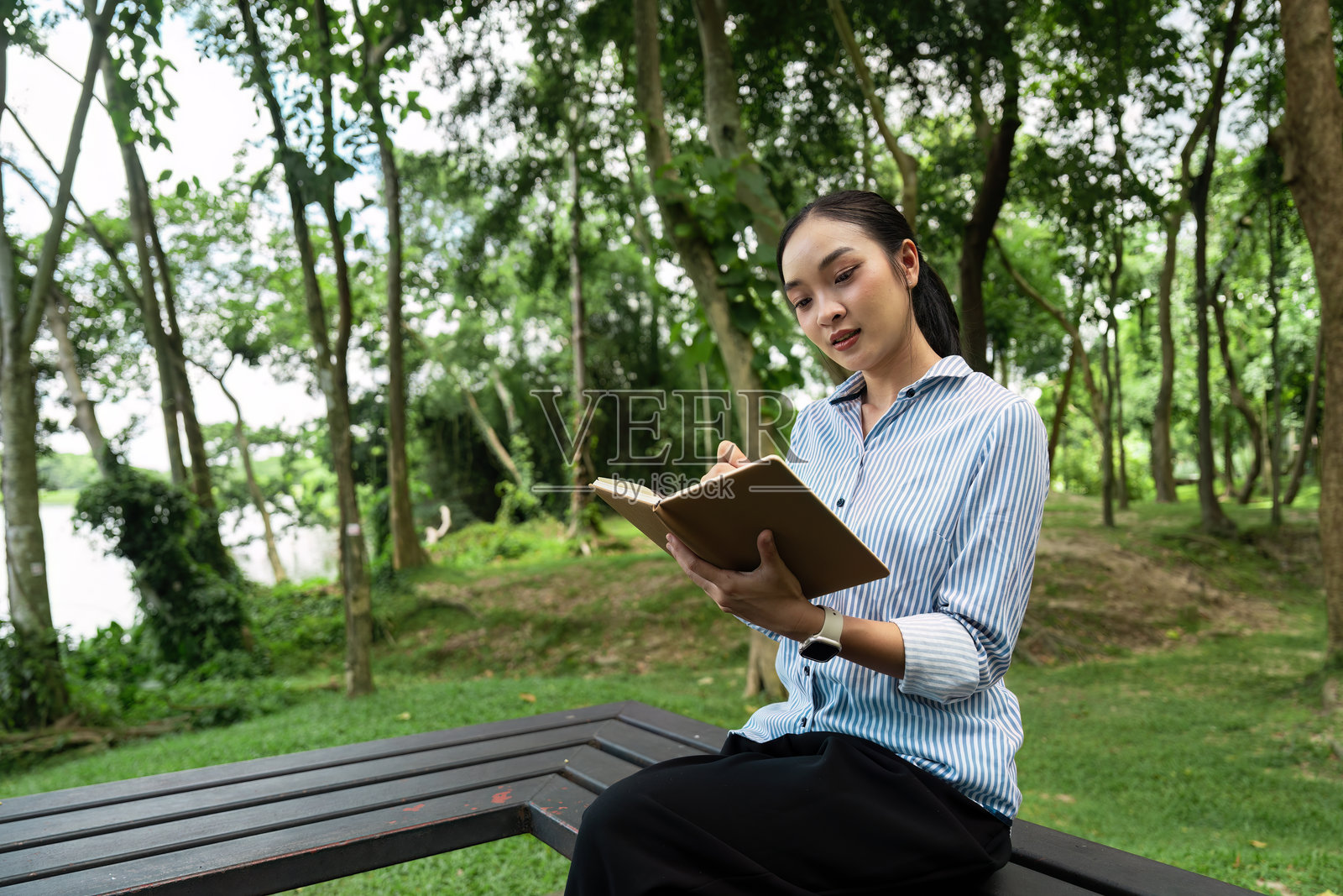 年轻专业人士在宁静的公园环境中阅读和工作,享受自然与科技的结合照片摄影图片