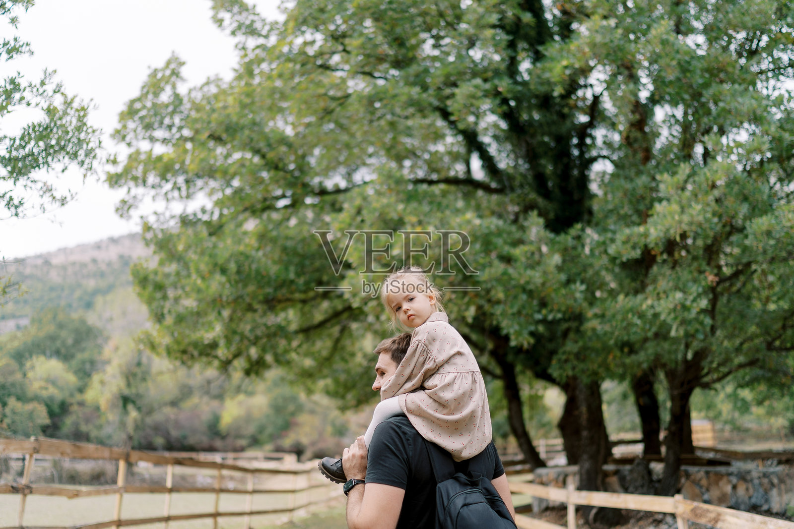 小女孩坐在爸爸的肩膀上,四处张望,爸爸在绿色公园里走着。背影。照片摄影图片