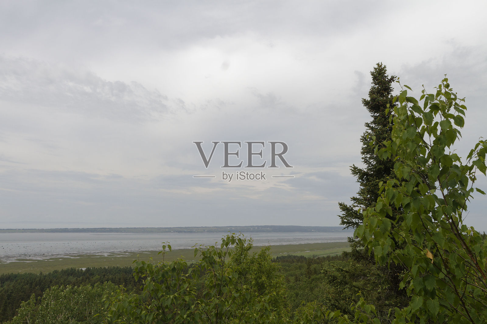 基斯科图克海岸公园的巴圣洛朗海岸线照片摄影图片