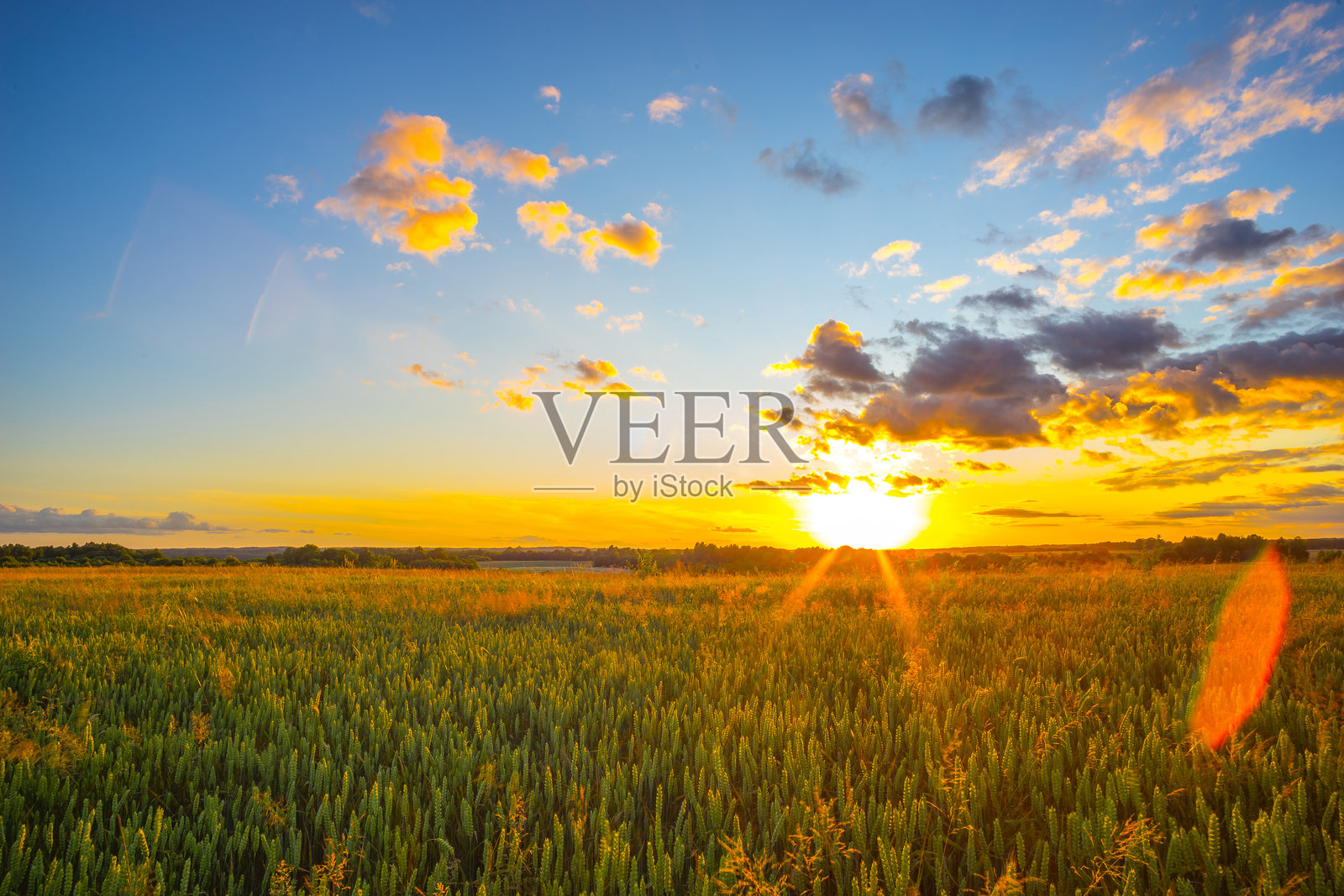 麦田与日落照片摄影图片