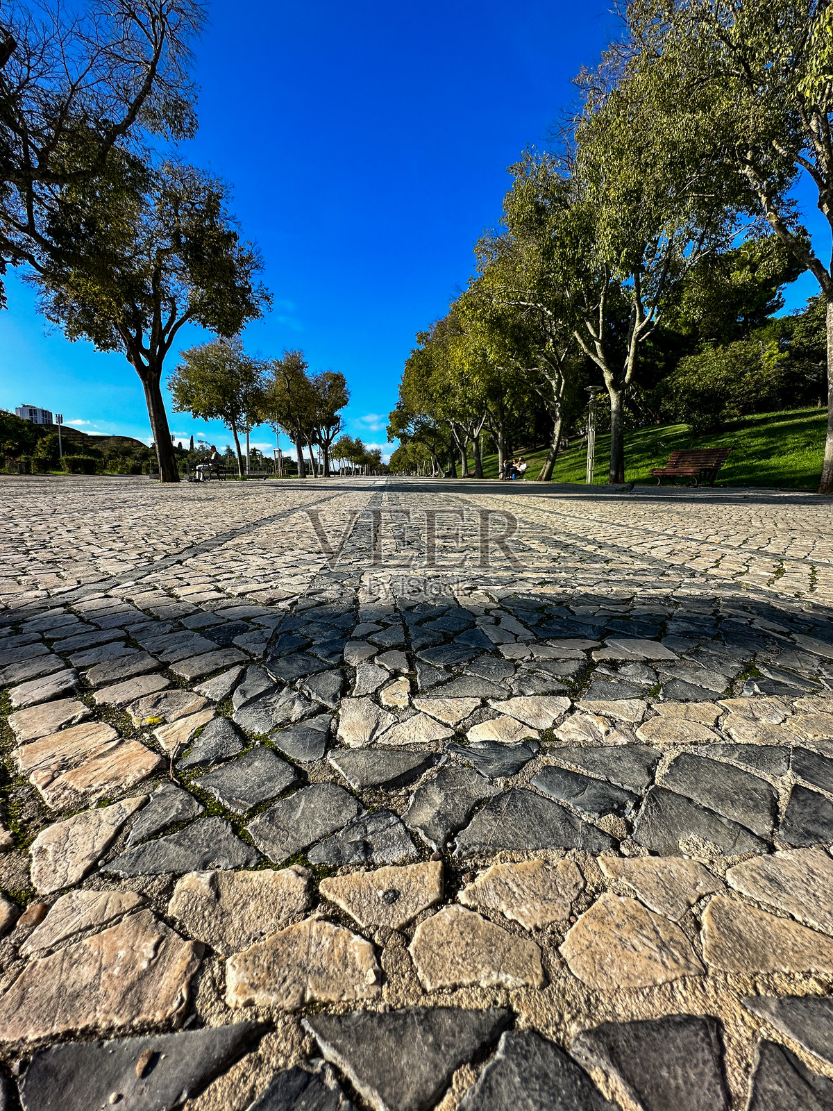 里斯本爱德华七世公园的马赛克瓷砖人行道细节照片摄影图片