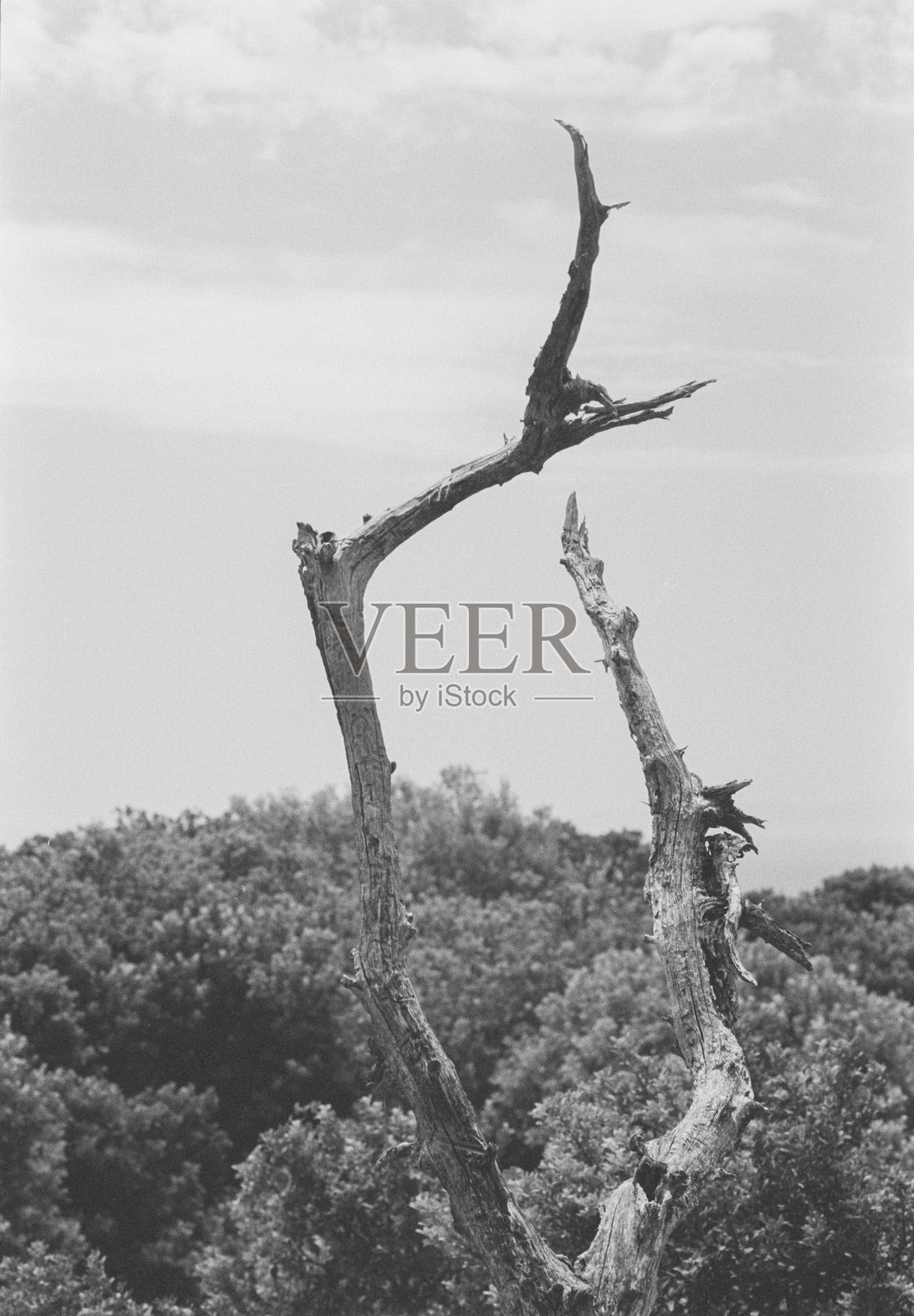 希俄斯岛的黑白胶卷摄影照片摄影图片