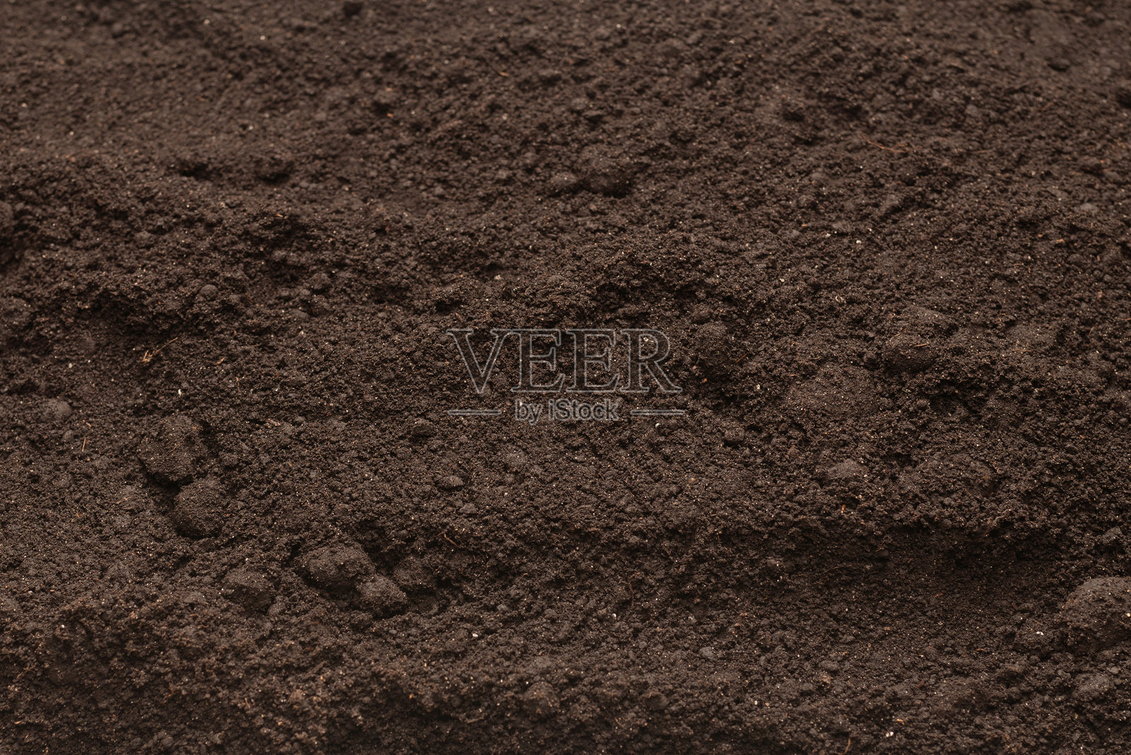 植物背景的黑色土壤。俯视图。照片摄影图片