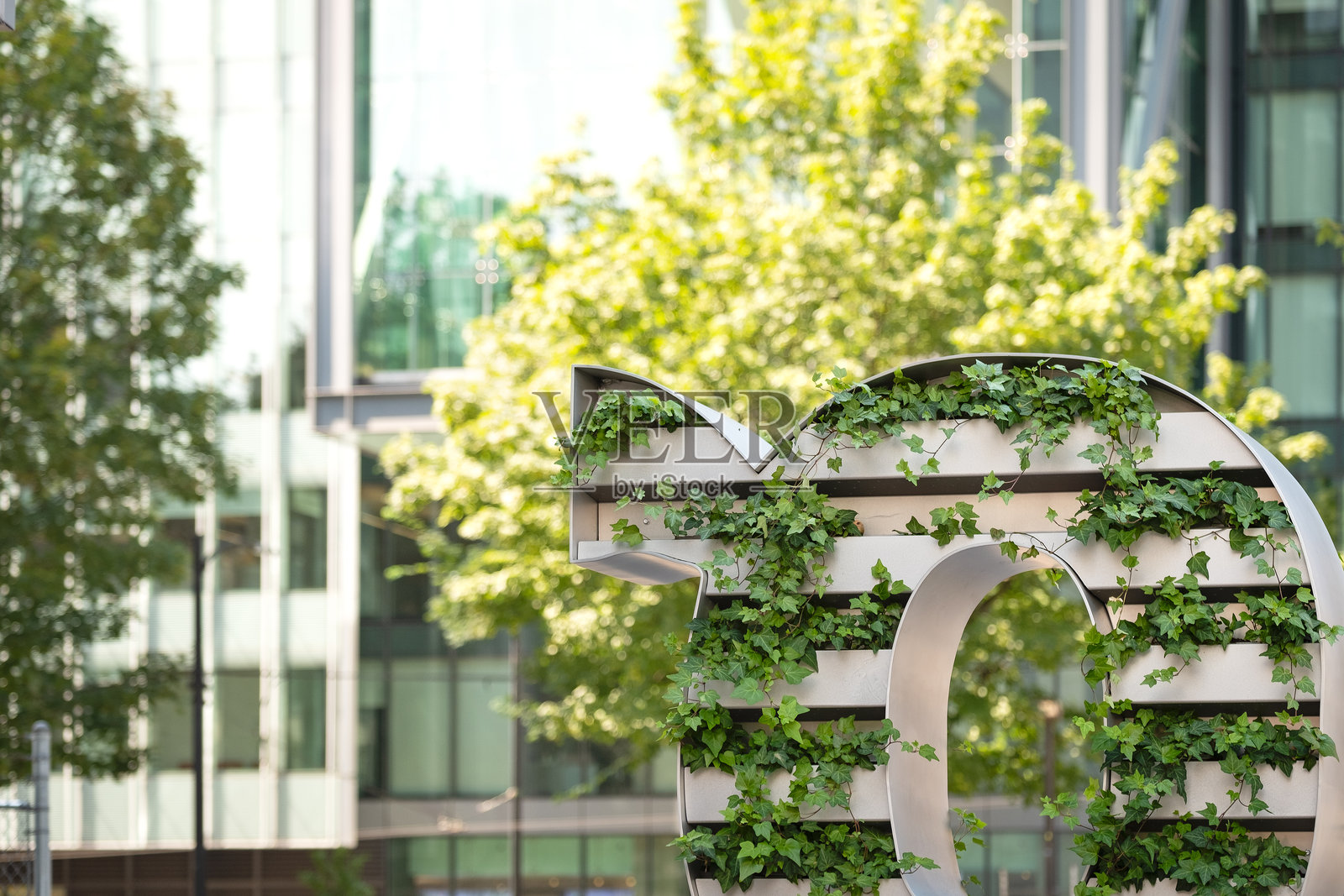 可持续建筑,现代城市广场中的树木和植物生长照片摄影图片