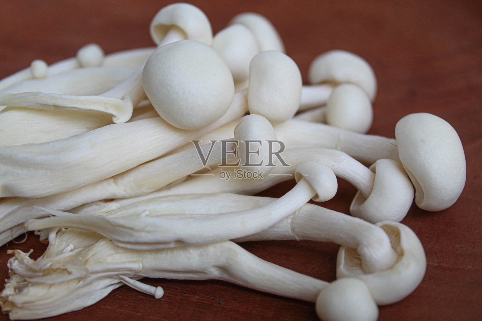 一组白色蜜环菌(或称白色榉木蘑菇)在木质背景上照片摄影图片