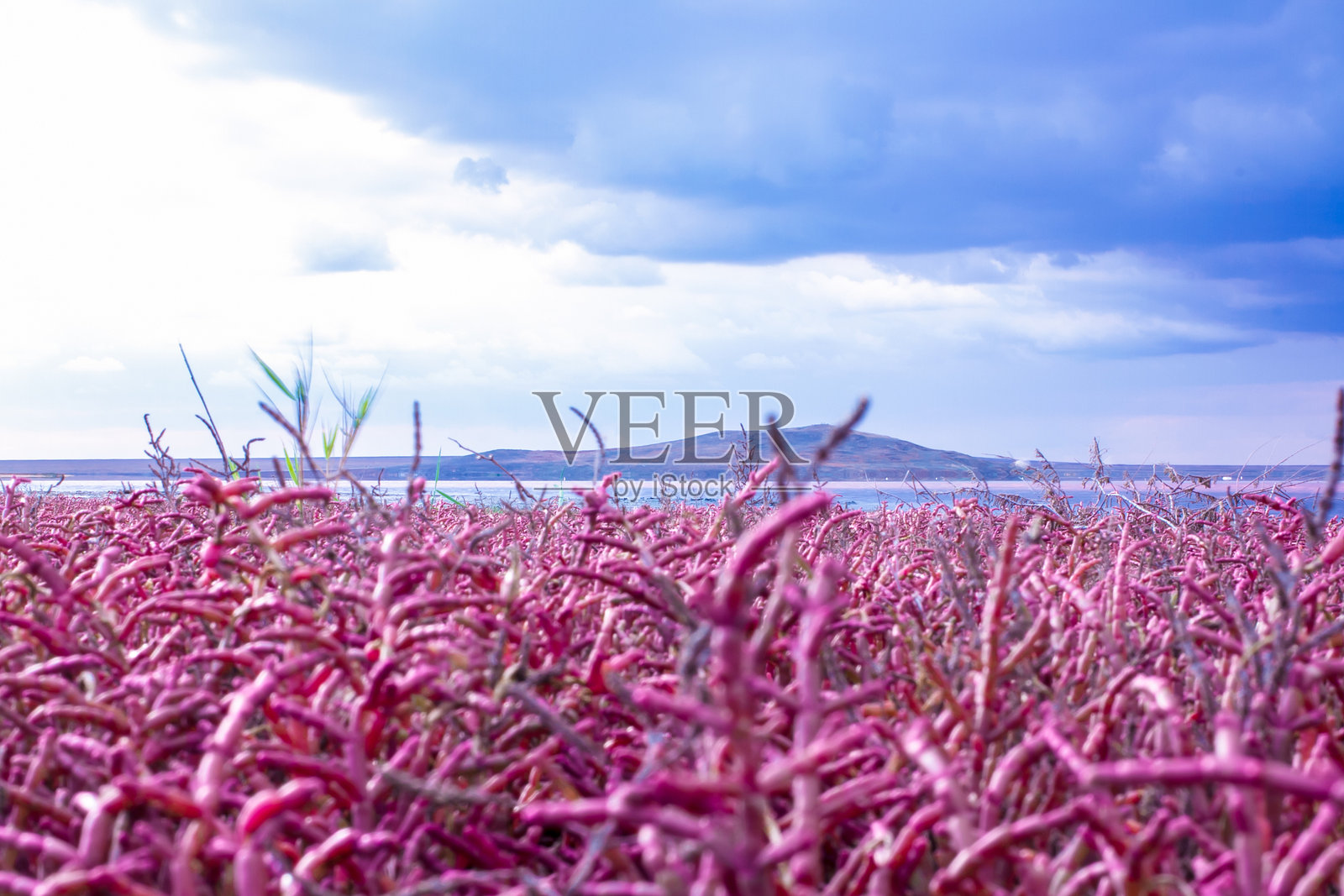 克里米亚,海洋,山脉,湖泊,马里耶夫卡,萨西克-西瓦什照片摄影图片