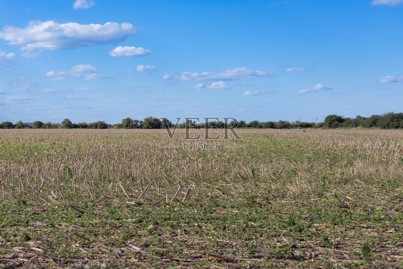 乡村风景下蓝天中的收获田野照片摄影图片